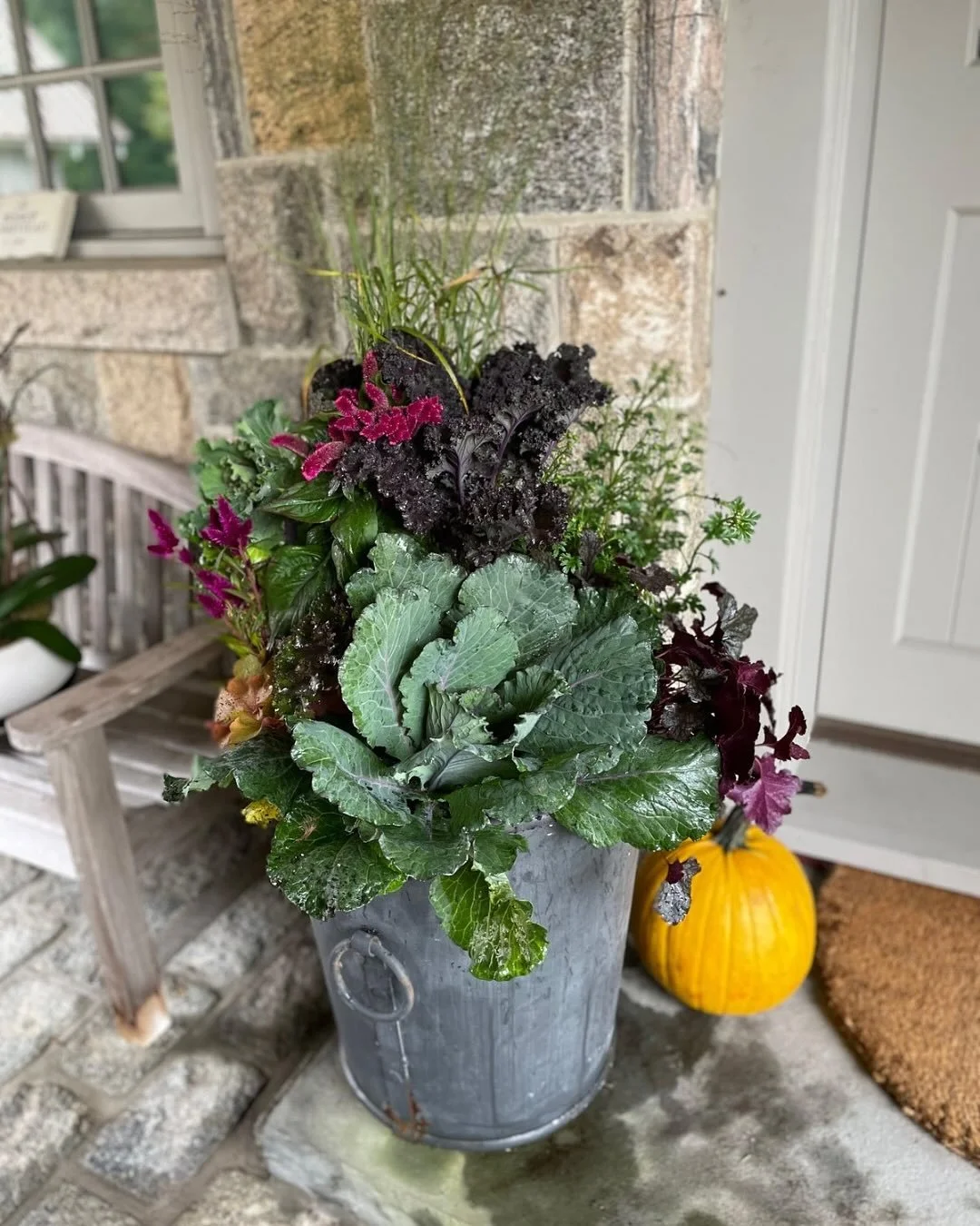 Happy Fall Equinox 🍂

Fall is in the air and our autumn container designs are about to begin. It&rsquo;s one of our favorite seasons to design with, because of the incredible amount of different textures and varieties. This client has a mix of leafy