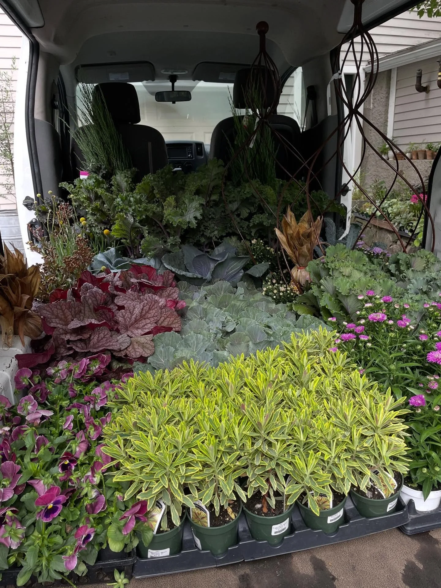 From the haul to the finished design🌿

Plant recipe:
Celosia
Euphorbia 
Grasses
Heuchera
Ivy
Kale
Leucothoe 
Mums
Pansies 
Red dog branches