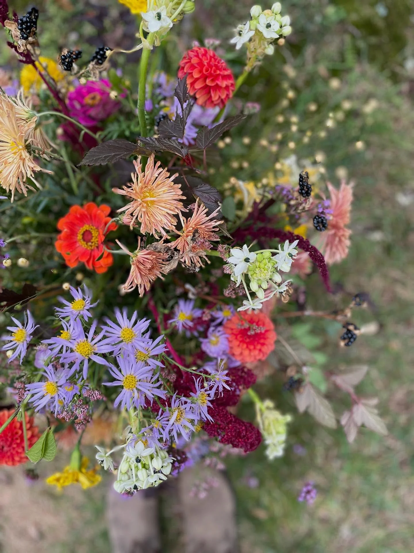 This week&rsquo;s Fall favorites! 

#fallflowers #fallflorals #flowers
