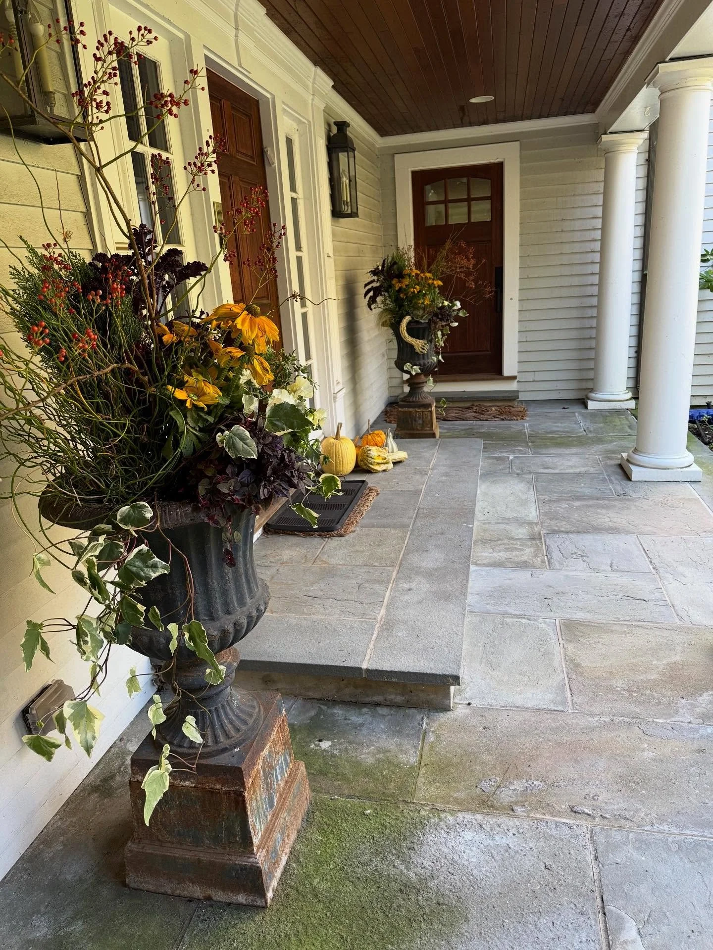 A refreshed front entry and accent urns for Fall 🍂

#falldesign #fallcontainergardening #planter #gardendesign