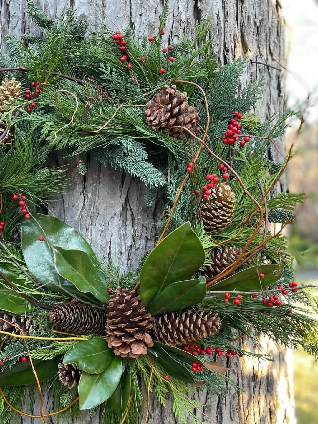 Fresh winter wreaths are here🌲 Now offering small, medium, and large wreaths. 

Cozy up your front door with a handcrafted wreath, embellished with natural decor and a festive bow. 

To order, call or visit our website
earthgardenflowers.com
203-966