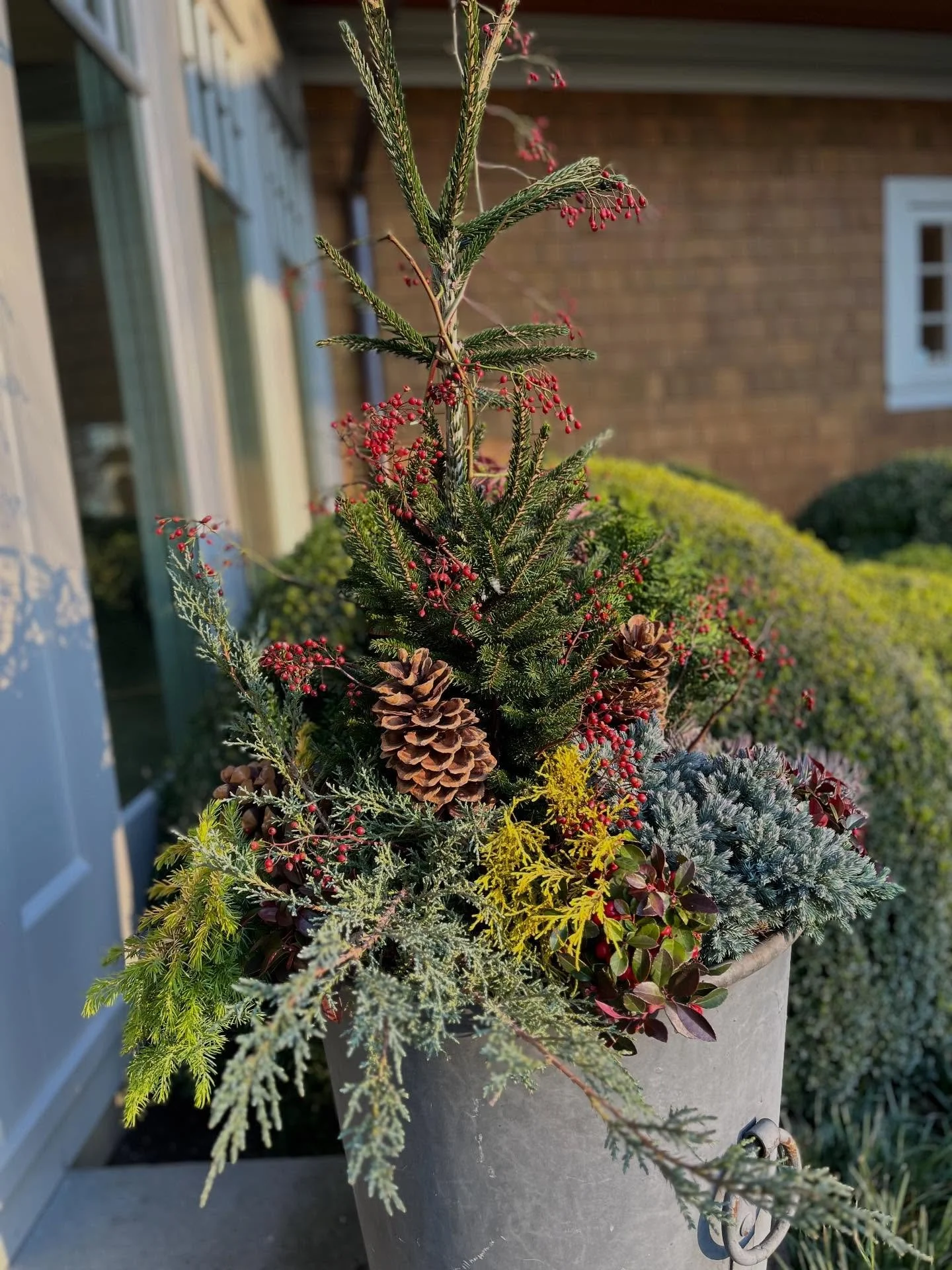 December glow on this beautiful winter container ✨

#winterdecor #planterbox #winterdesign