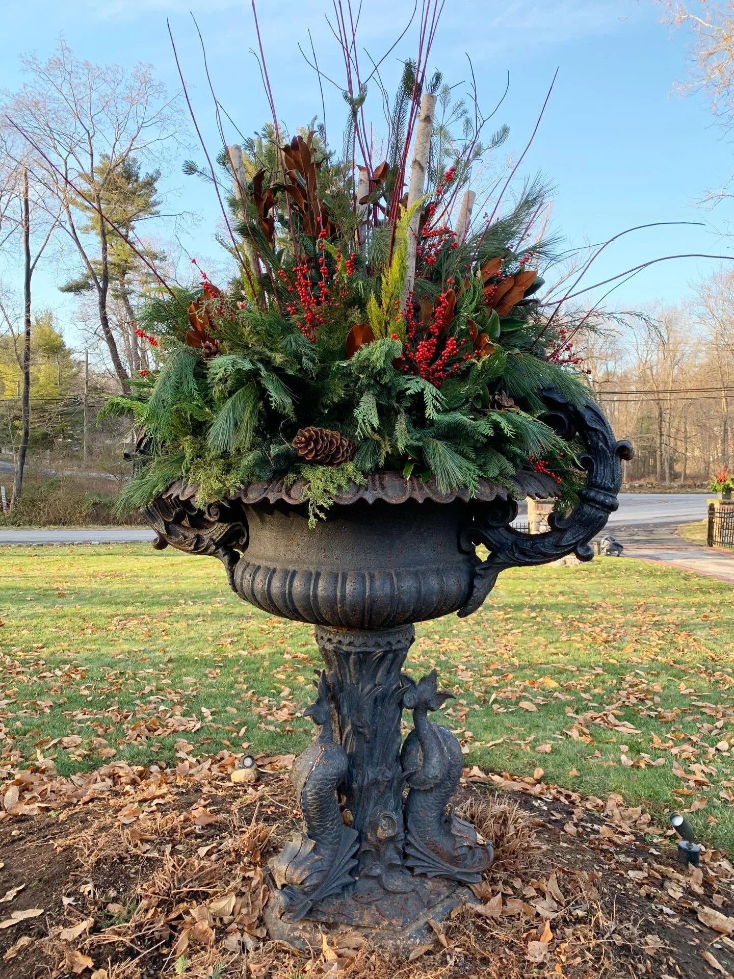 One of our favorite seasonal containers!

This season&rsquo;s recipe:
Arborvitae
Blue berried cedar
Birch poles 
Carolina cypress
Gold cypress 
Ilex berries 
Variegated leyland cypress
Tall Aussie pine 
Magnolia branches 

#winterplanters #winterdesi