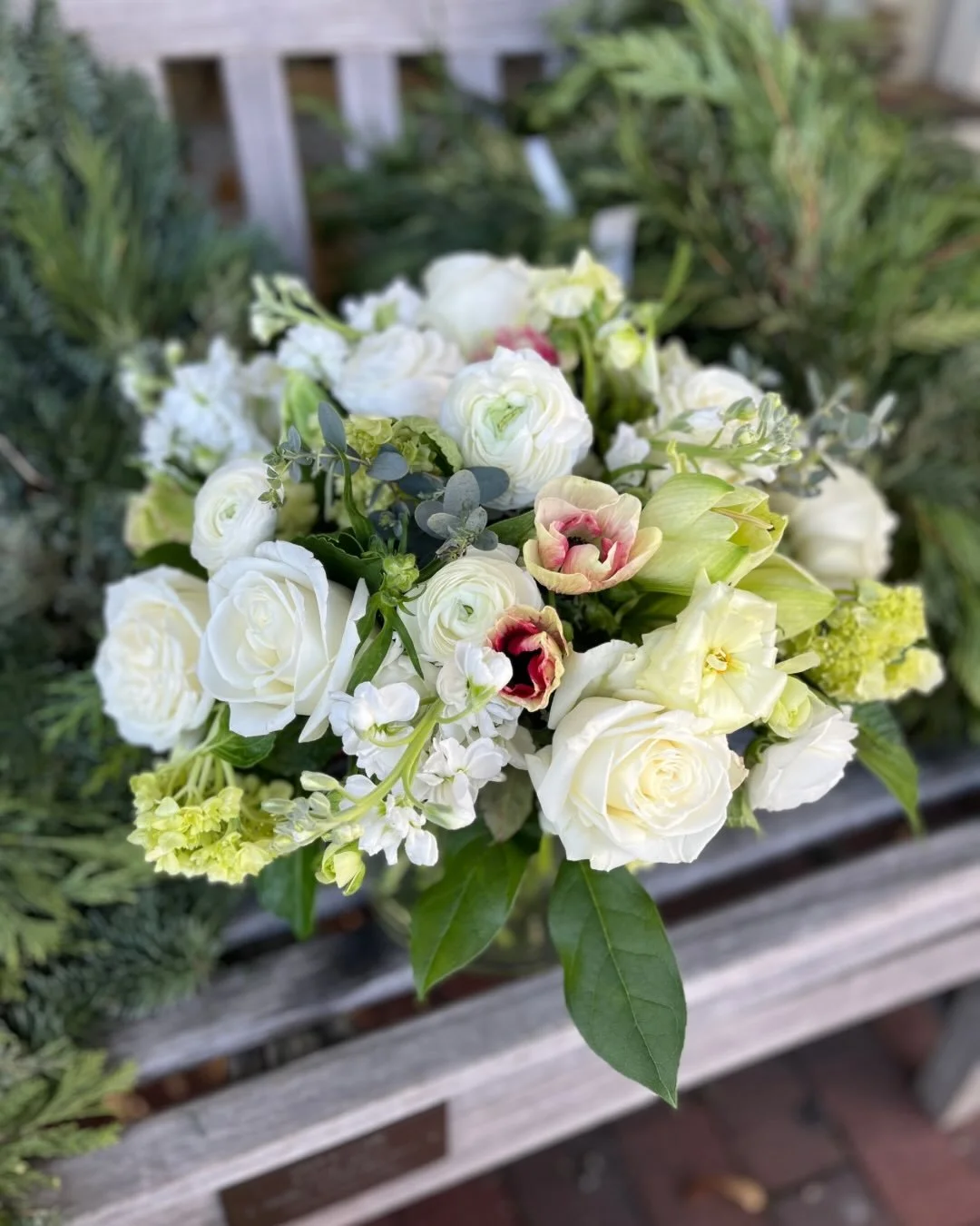 A recent floral design for a January birthday. The client requested classy neutrals with a pop of color. We designed with all white amaryllis, roses, ranunculus, stock with a pop of pink with those incredible variegated anemones. Perfect winter combo