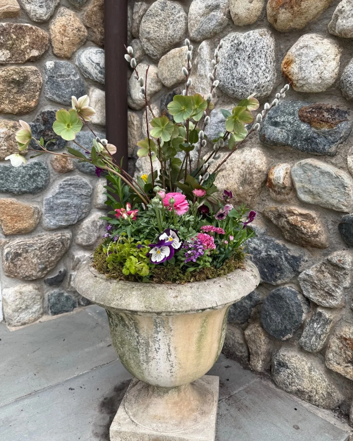 A client&rsquo;s container full of our springtime favorites; assorted pansies, hellebores, ranunculus, and alyssum with pussy willow accents. 

#spring #springplanter #hellebores #pansy #garden