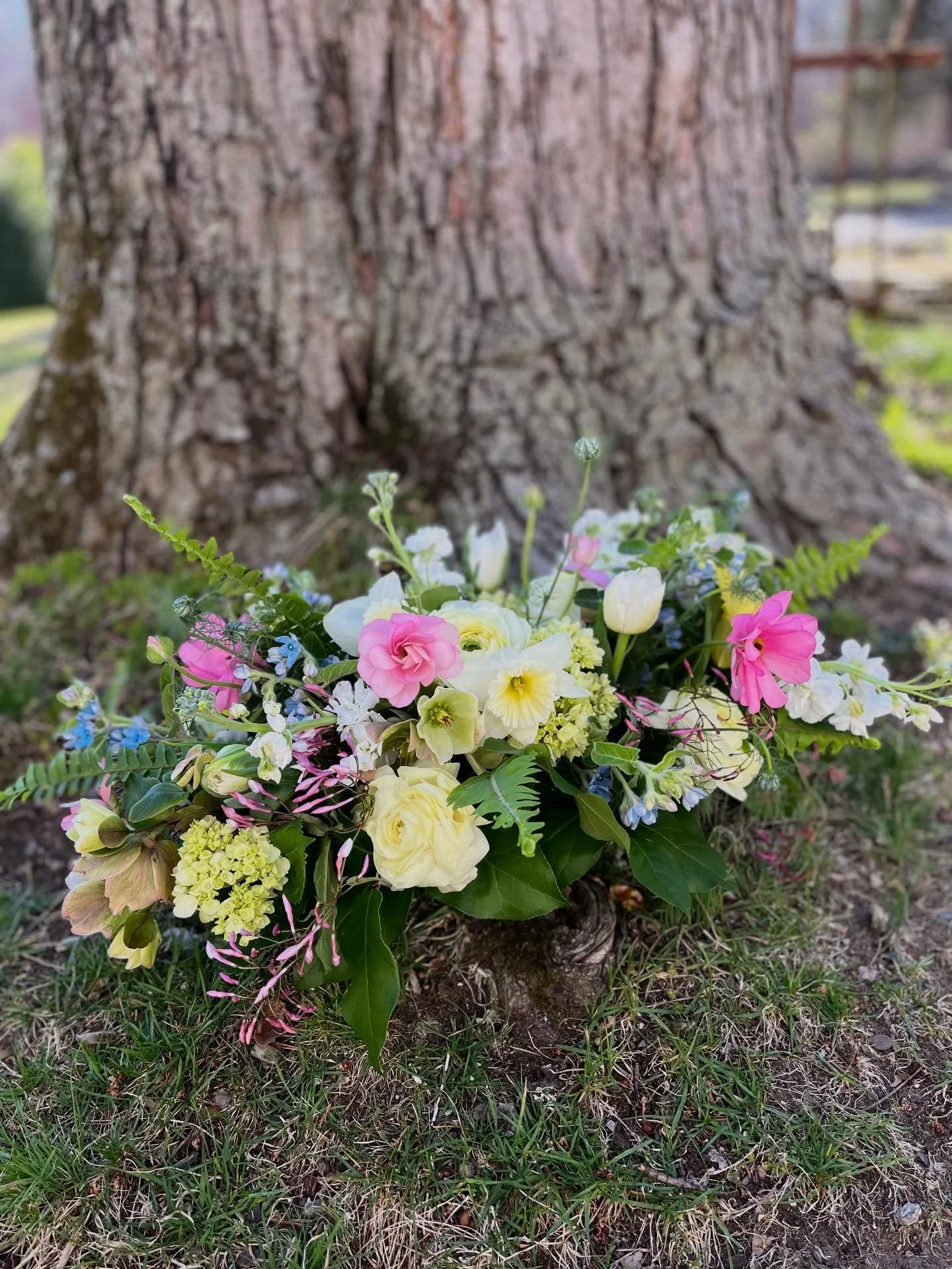 A moment for this fresh Spring design 💐

#daffodil #tulip #ranunculus #hellebore #floraldesign