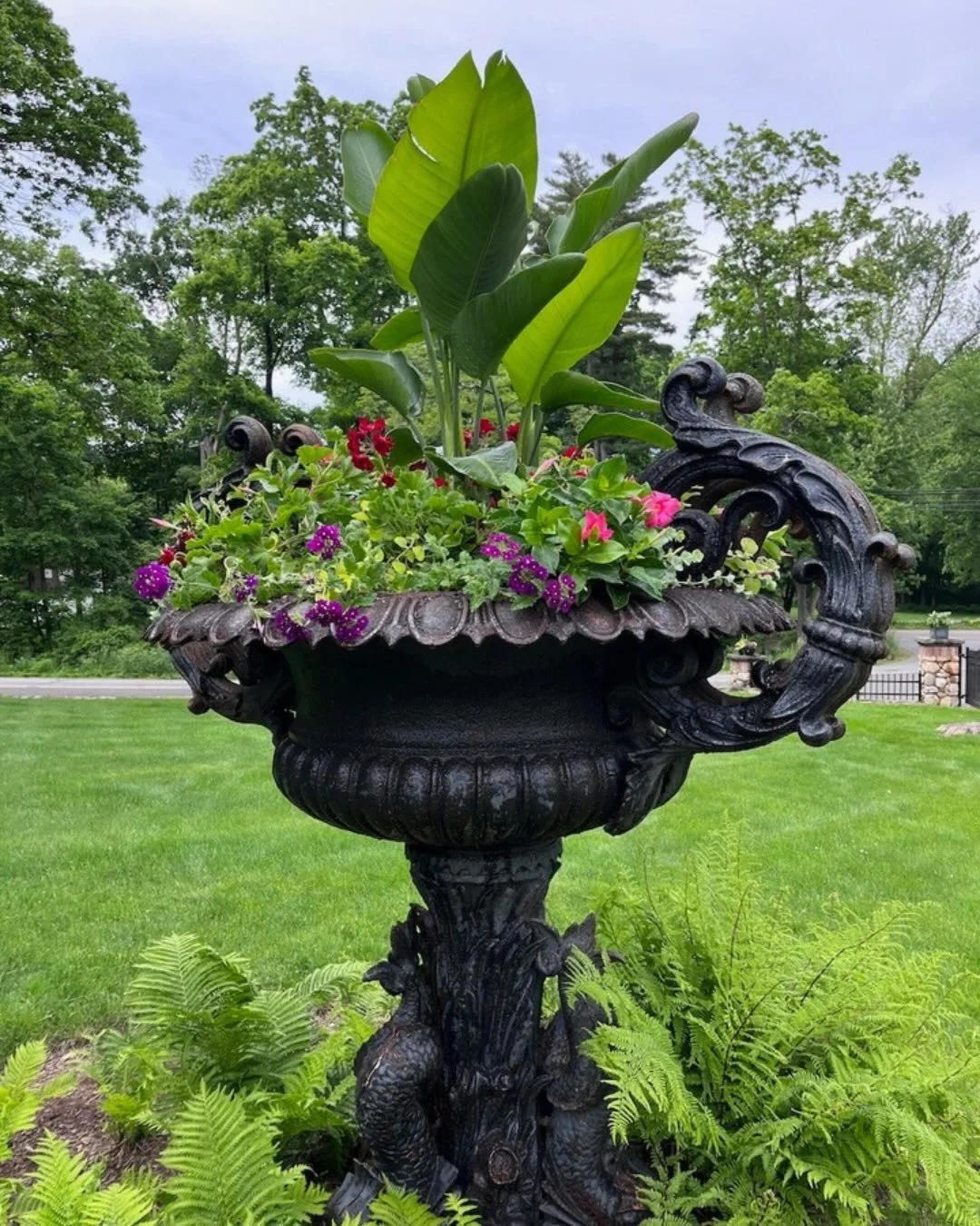Summer container refresh 🌸 

Our summer rotation is filling up quick, so if your containers are in need of freshening up, secure your spot now.

Visit our website earthgardenflowers.com to submit an Outdoor Container Inquiry Form for more informatio