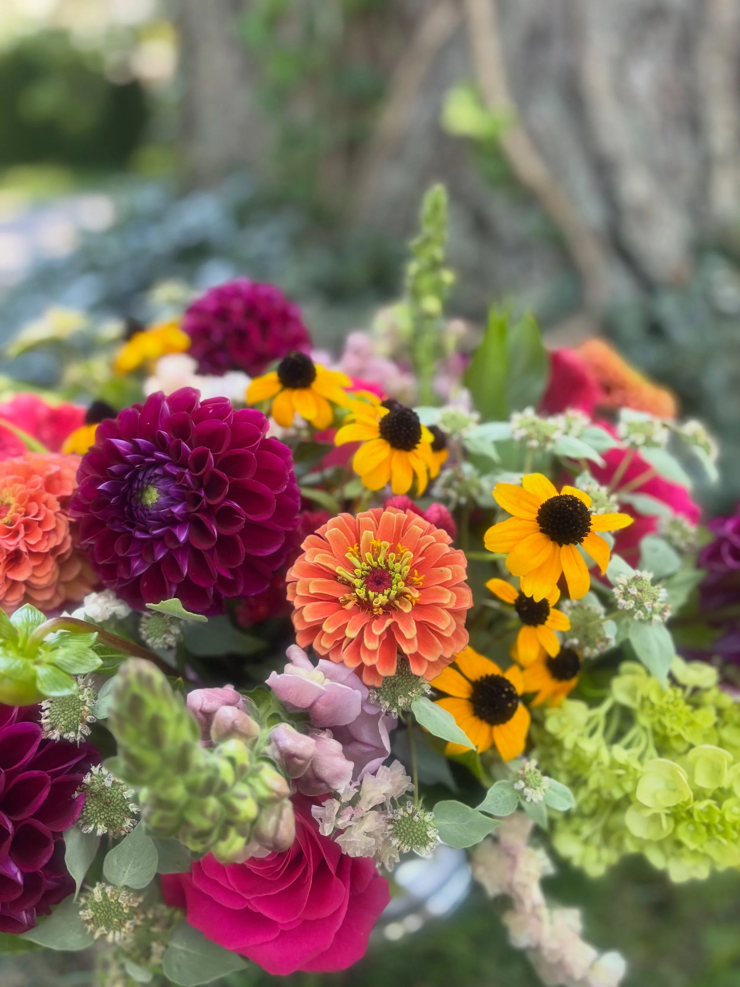 Dahlias are making their way into this season&rsquo;s floral designs, along with some other beautiful late-summer blooms ☺️ Get &lsquo;em while you can! 

Shout out @connecticutflowercollective for the local CT stems!