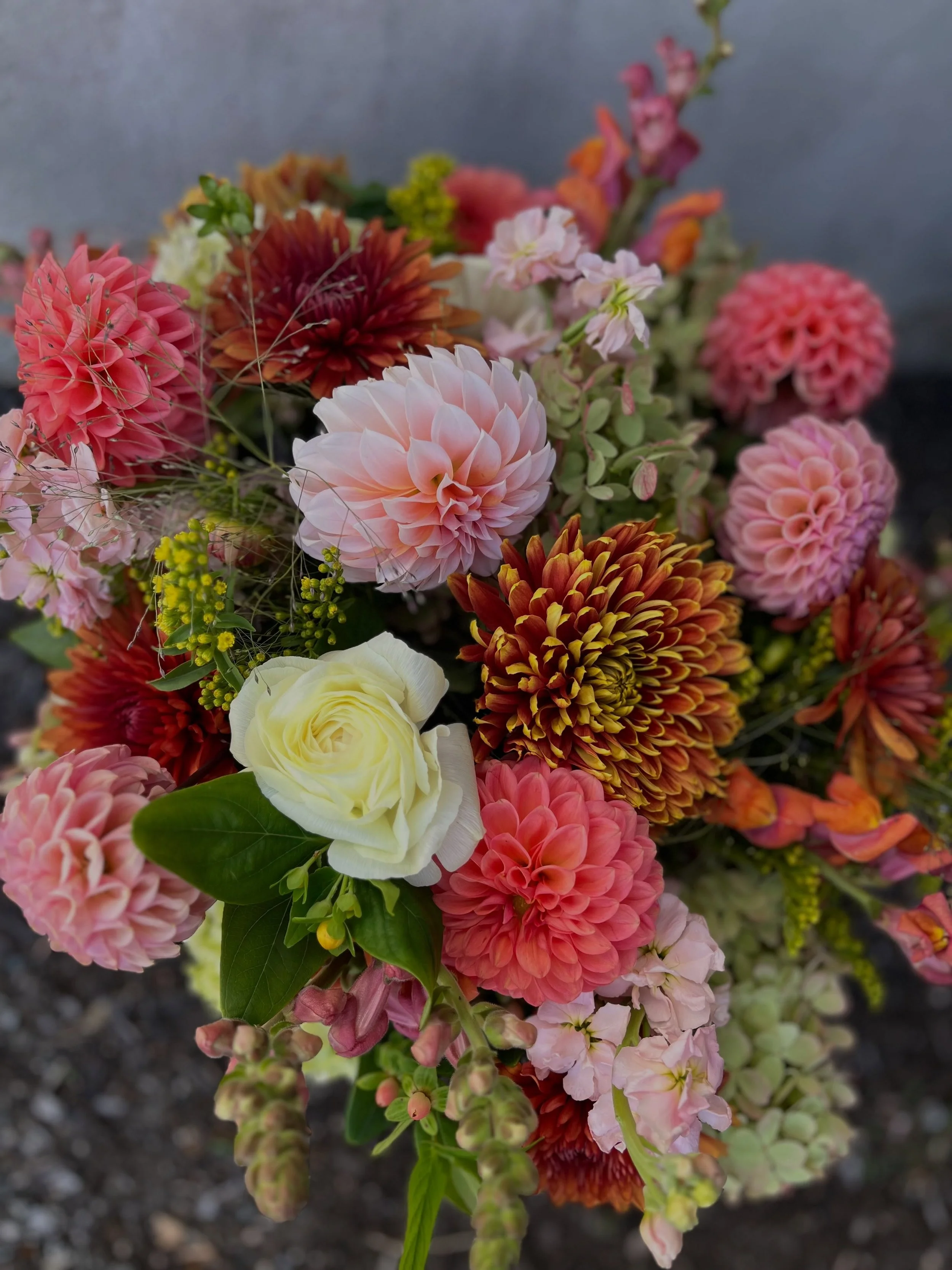 Here in Connecticut the nightly cold snaps are on the horizon, so we are eating up all the local blooms for as long as we can get &lsquo;em! 

#ctflowers #local #floraldesigns #freshflowers #fallflowers