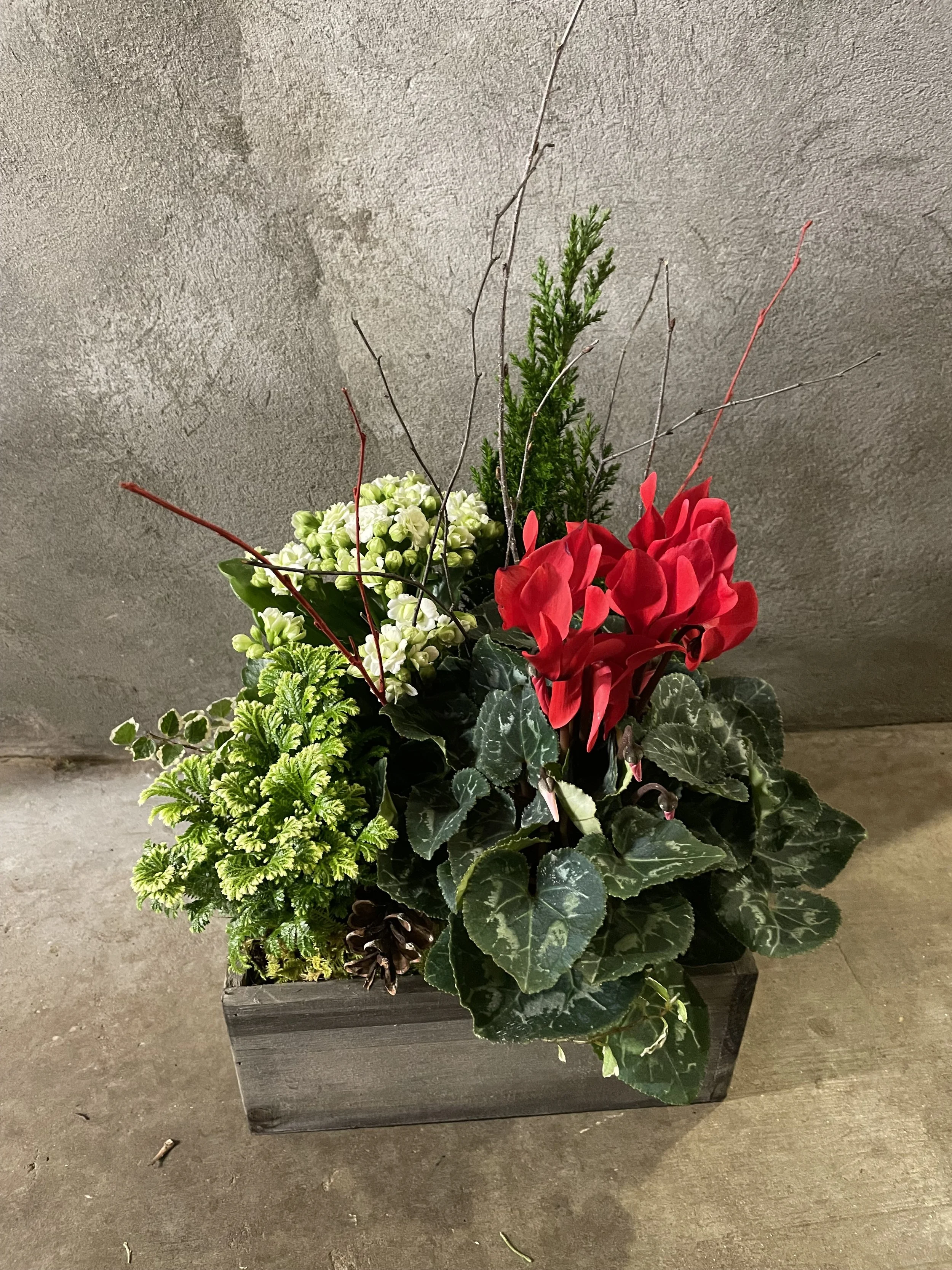 Holiday Interior Planted Creation.jpg