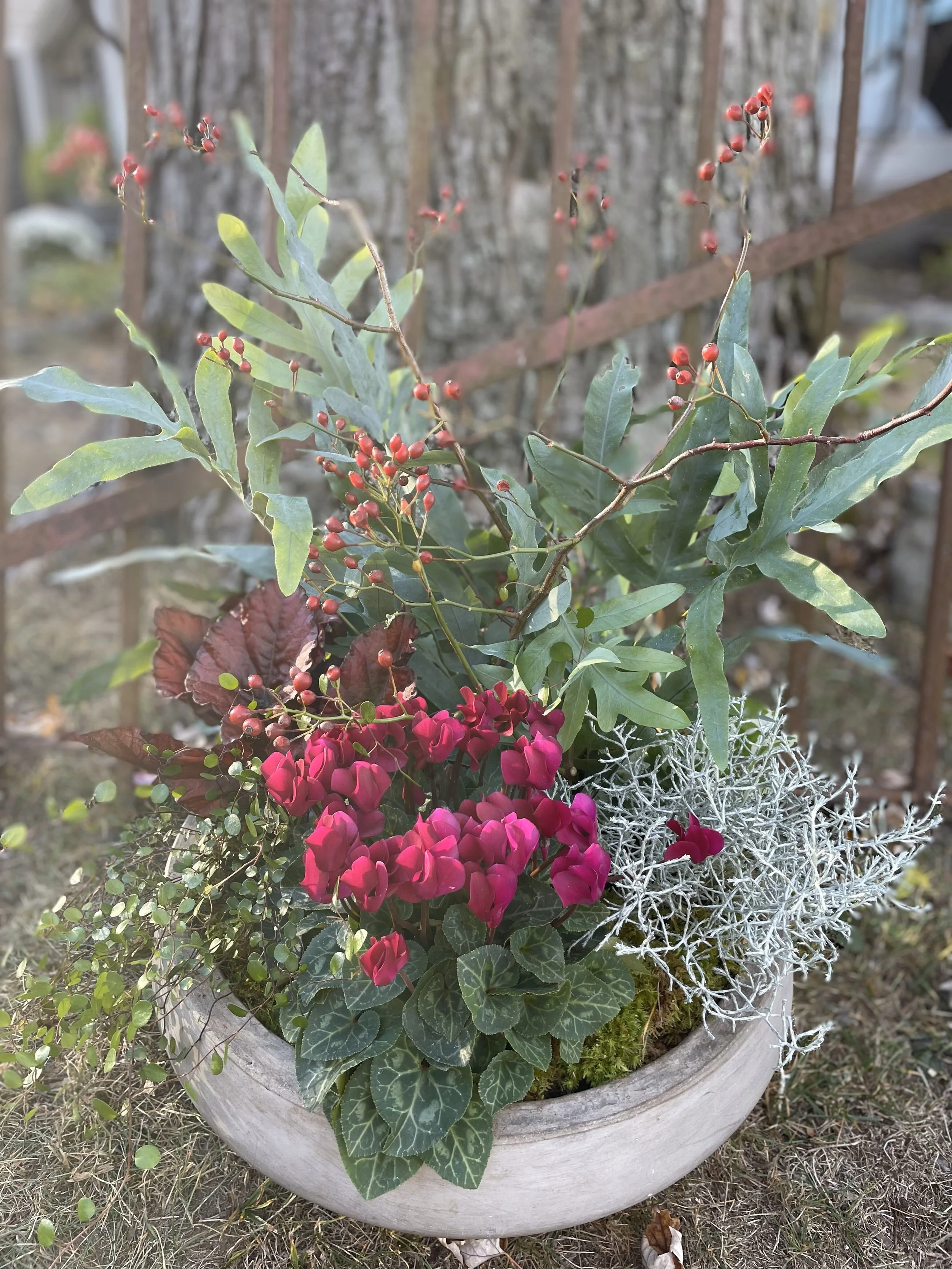 Seasonal Outdoor Planted Design