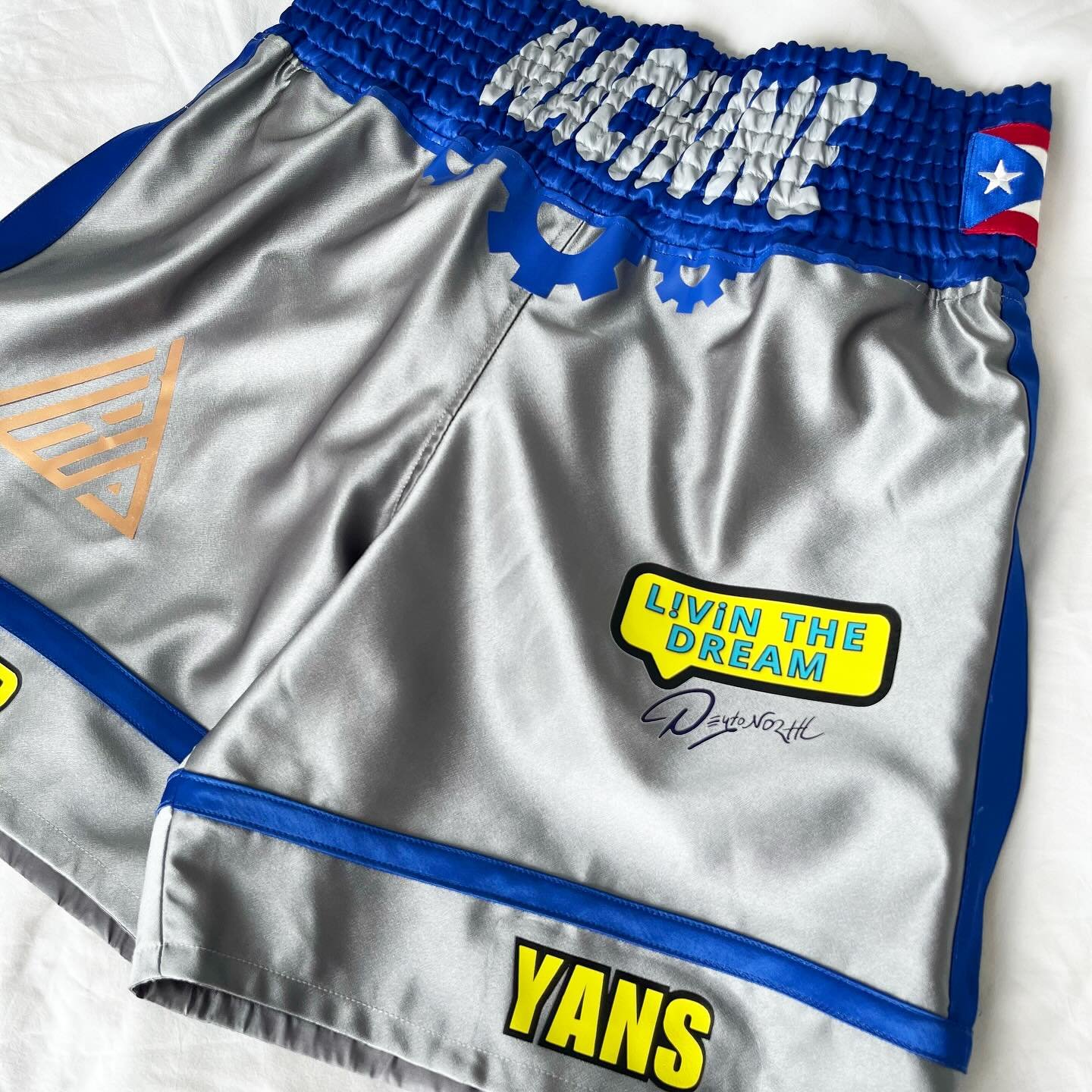 Custom satin trunks @301machine 
Design by @frankies.gram 🔥

#custom #boxing #boxingtrunks #boxingnyc #madeinnyc #trunks #fightshorts #boxer #customboxingtrunks #fighter