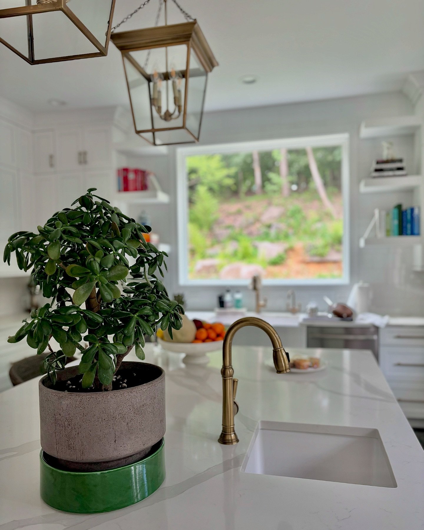 The way that @kaylagiovinazzo makes her home look straight out of Architectural Digest 😍

Thank you for trusting BB to provide maintenance services for your beautiful Ficus and to source these incredible Jade plants!
.
.
.
.
.
#plantcare #plantmaint
