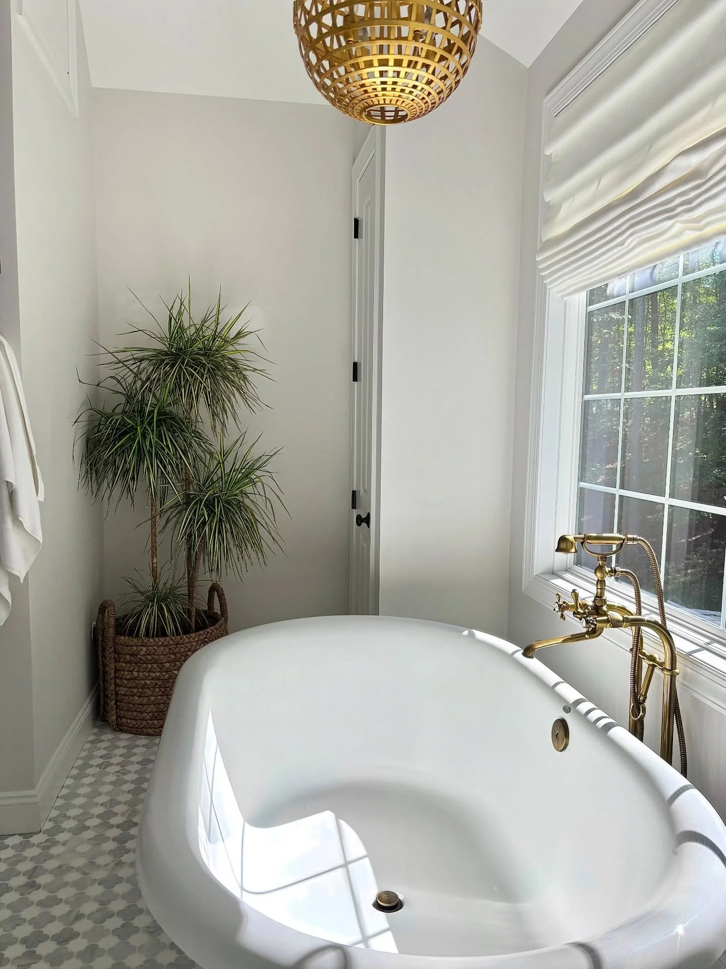 Plant maintenacne visists at @kaylagiovinazzo and @jamiegiovinazzo home is neeeeeever lacking in good vibes 💃🏻

They&rsquo;ve been huge supporters of Botanically Blurred since day one, and honestly, their Architectural Digest&ndash;worthy home make