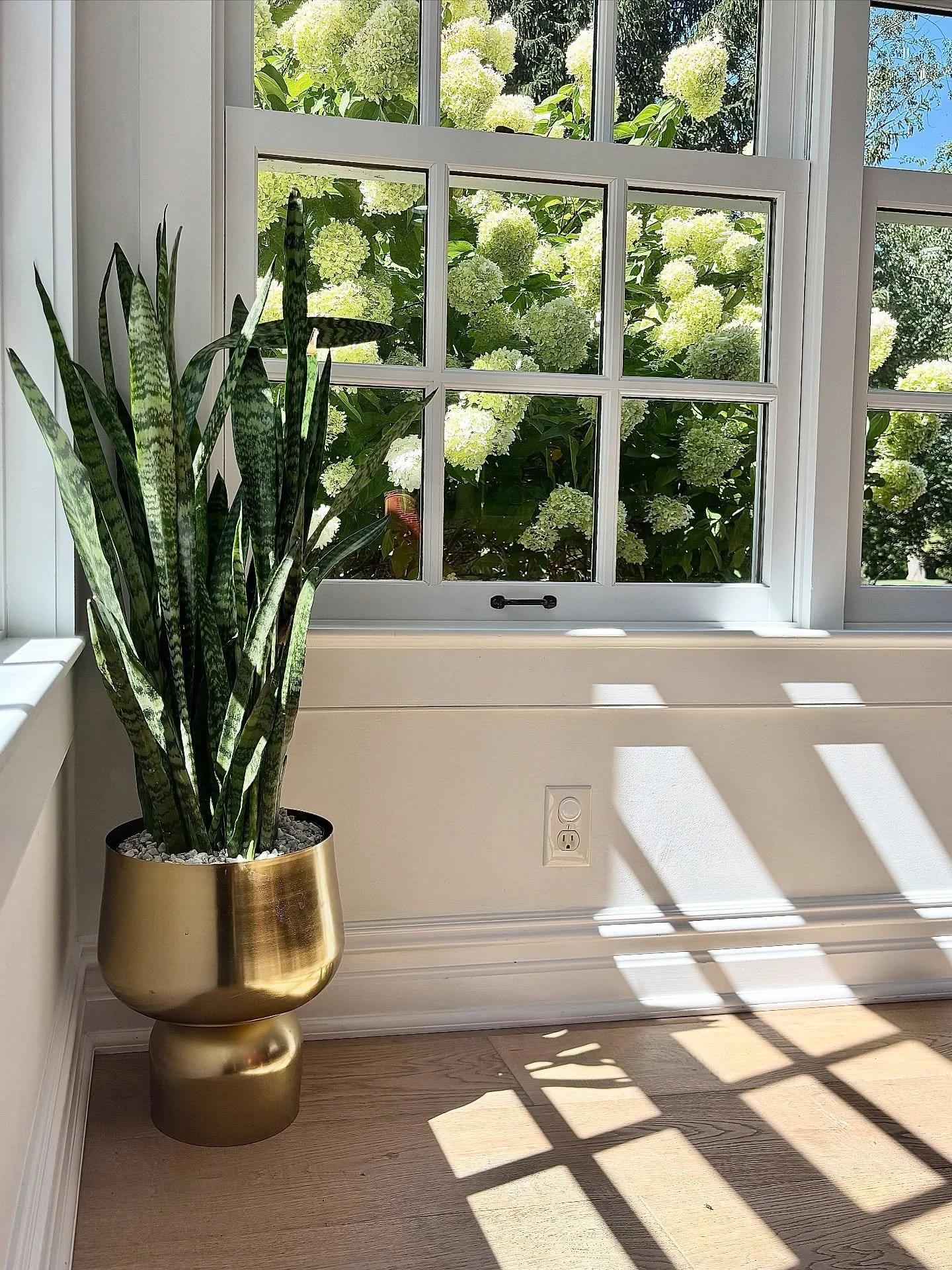 This breakfast nook is suuuuuuch a vibe.

Sunlight floods this space from the wrap-around windows and honestly, it was tough to compete with the hydrangeas outside, but if anyone can quietly elevate the vibe with the perfect plant + planter combo - i