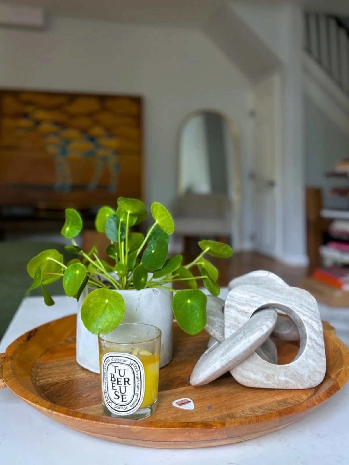 Design doesn&rsquo;t stop at furniture and art &mdash; whatever your vibe is, there&rsquo;s a plant to elevate it🌿

Botanically Blurred provides premium plant design, curation, and recurring care - so your plants feel as intentional as the rest of y