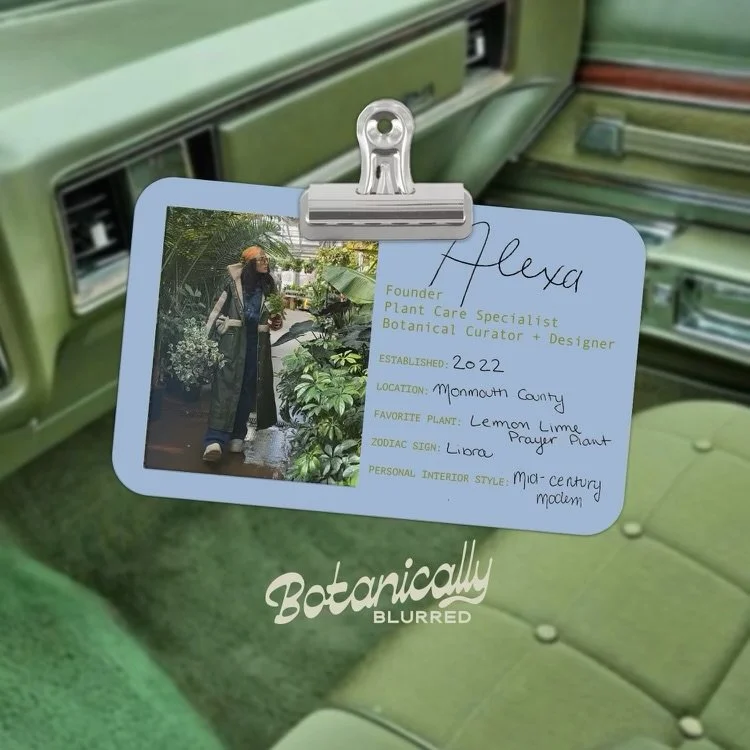 Hey everyone! I&rsquo;m Alexa, the owner of Botanically Blurred, an interior plant maintenance &amp; design company based out of Monmouth County, New Jersey. 

I started Botanically Blurred with the intent of blurring the lines between interior desig