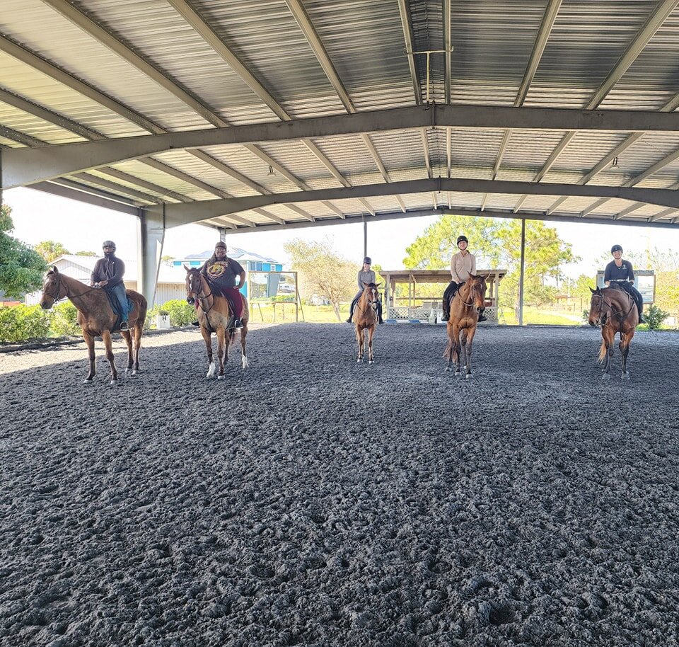 Special Bay thoroughbred lesson today! #5shadesofbay