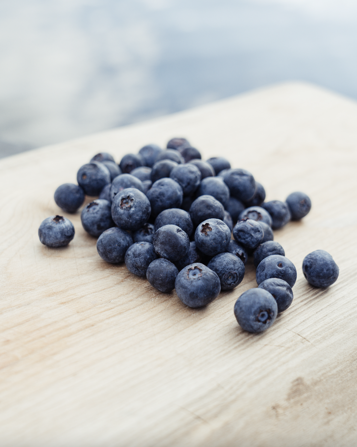 Screen Shot 2022-11-07 at 7.39.48 AM.png