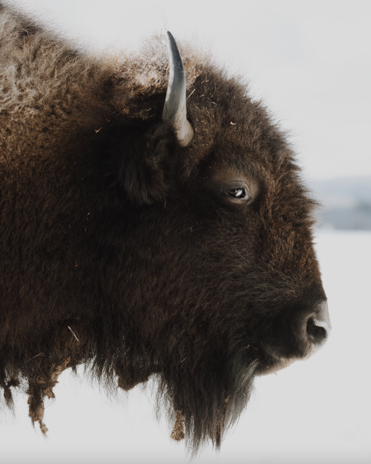 Screen Shot 2022-11-06 at 1.41.38 PM.png