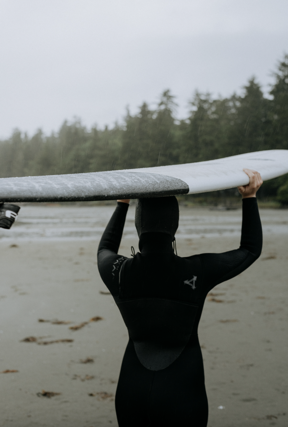 Screen Shot 2022-11-07 at 7.36.21 AM.png