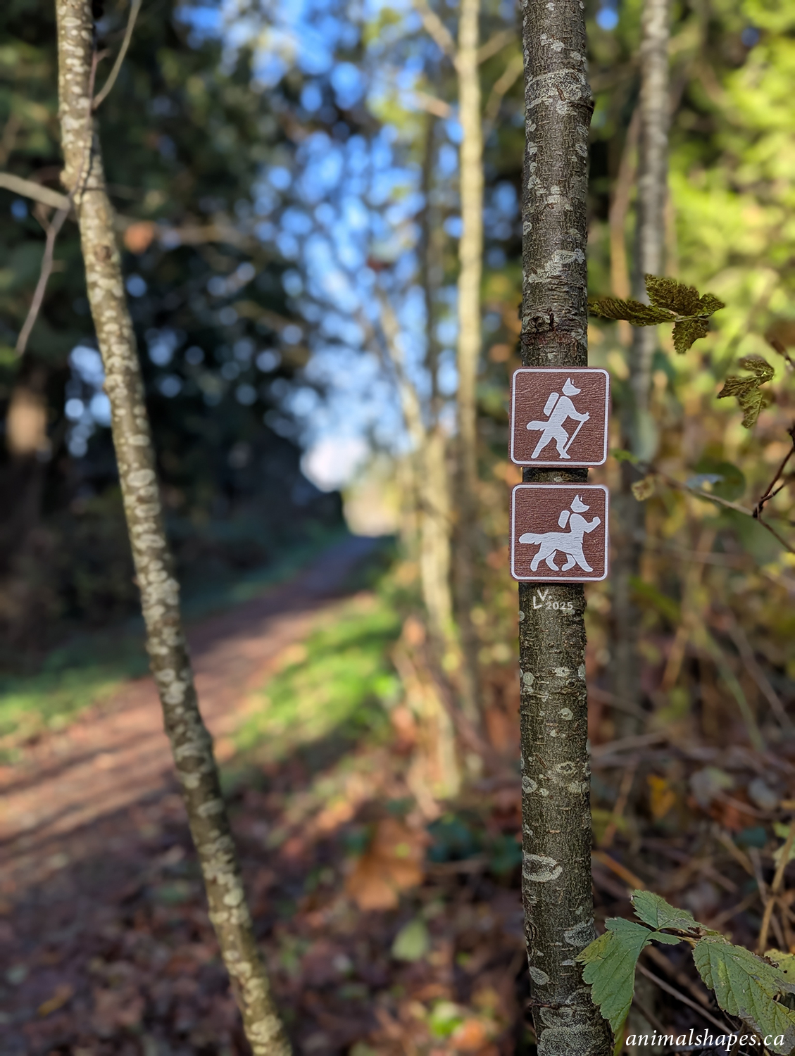 11-19-2025 signs 1-2 web1500.png