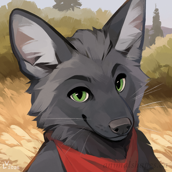 06-05-2026 portrait for nerox final web600.png