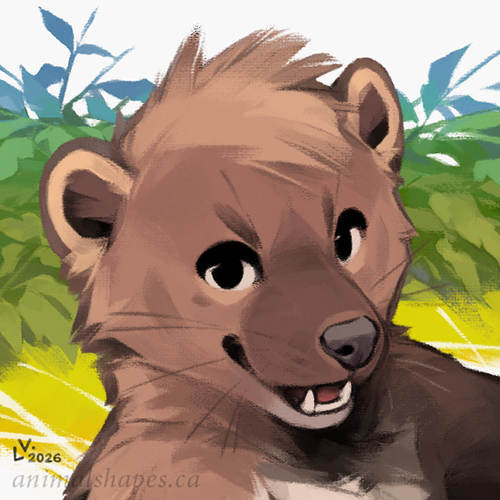 04-17-2026 fisher icon web500.png