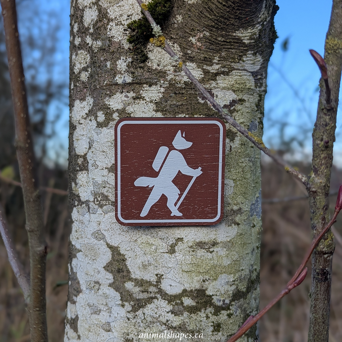 11-19-2025 hiker2 web1200.png