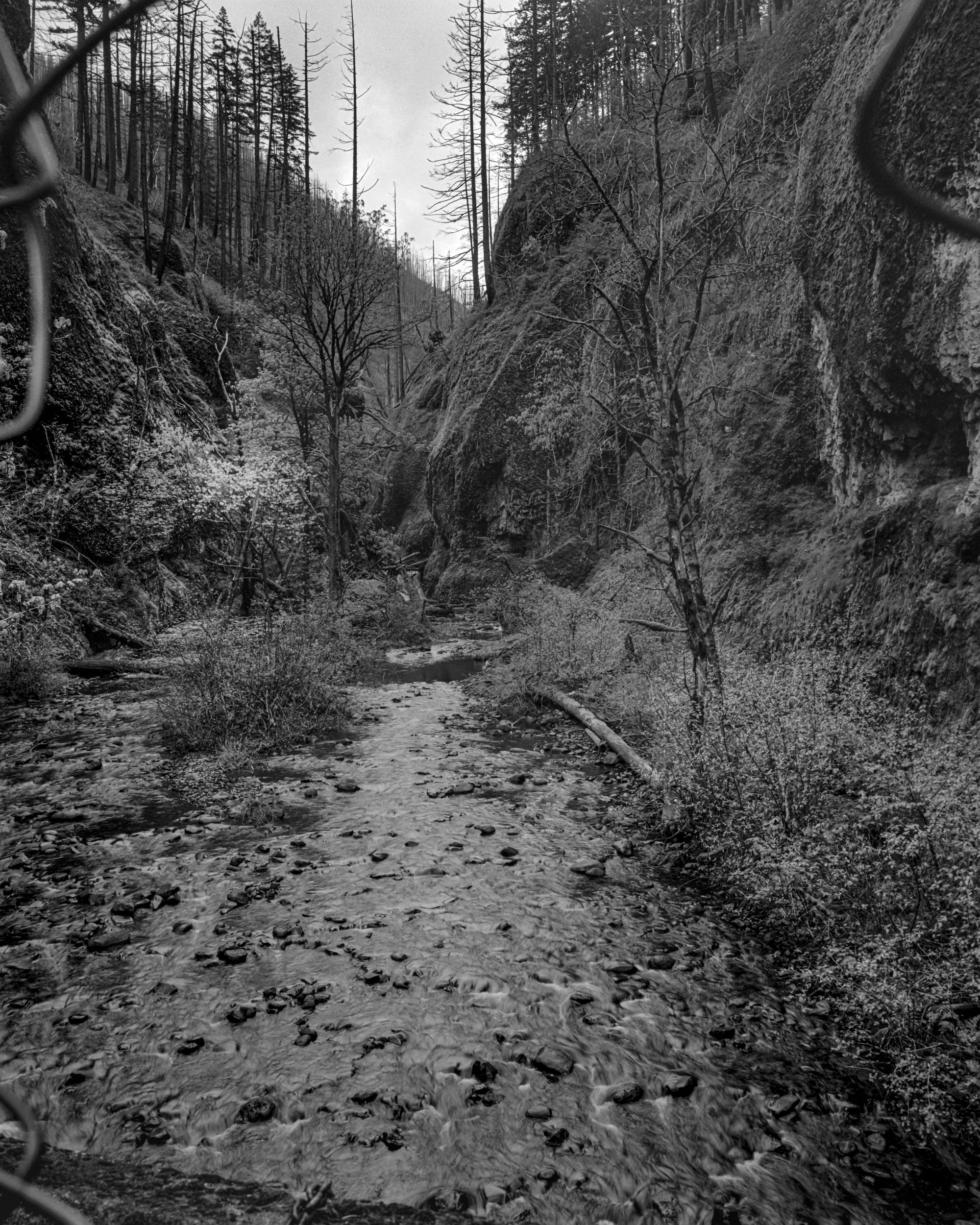 Oneonta Gorge
Oregon
Black & White Film