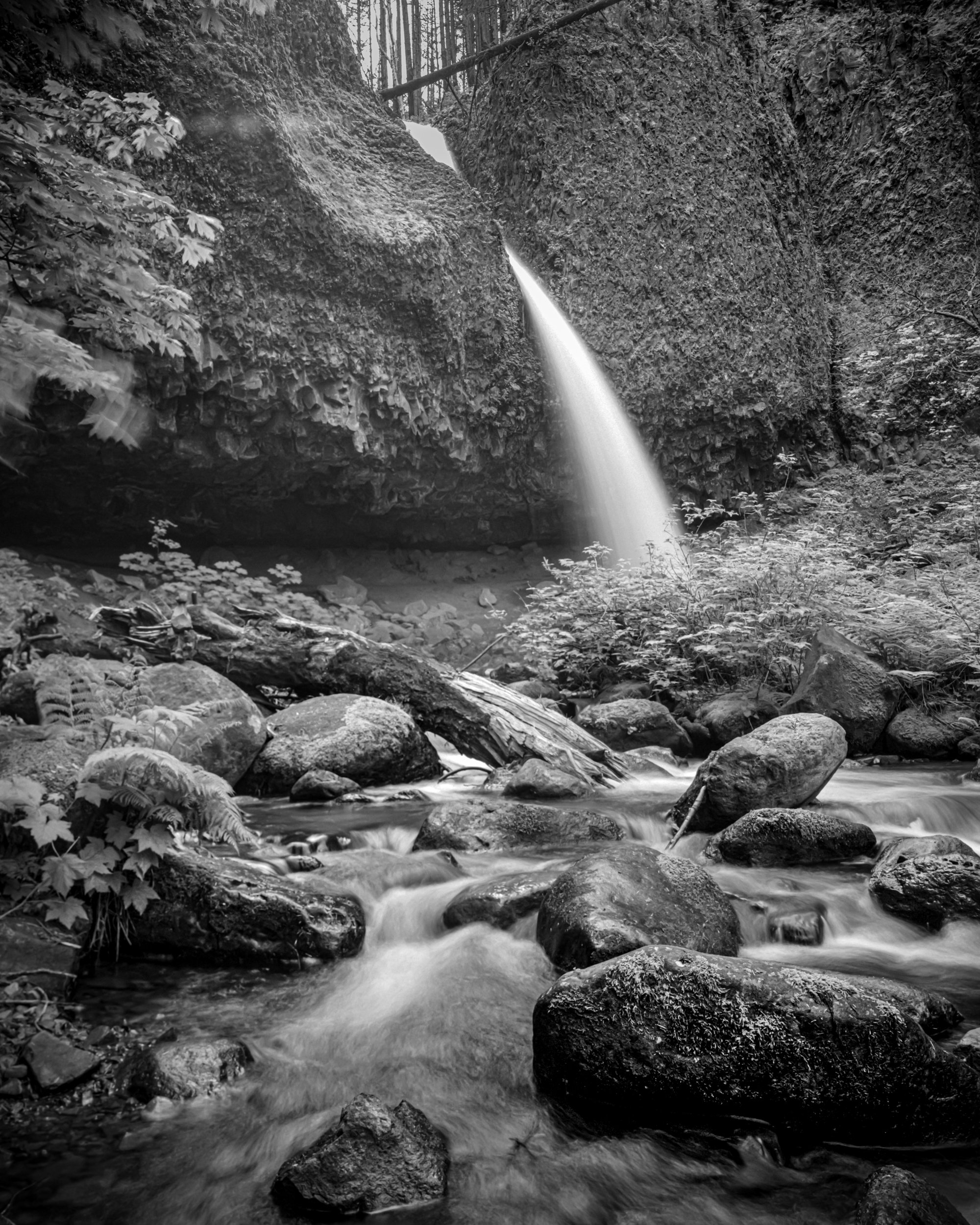 Ponytail Falls
Oregon
Black & White Film