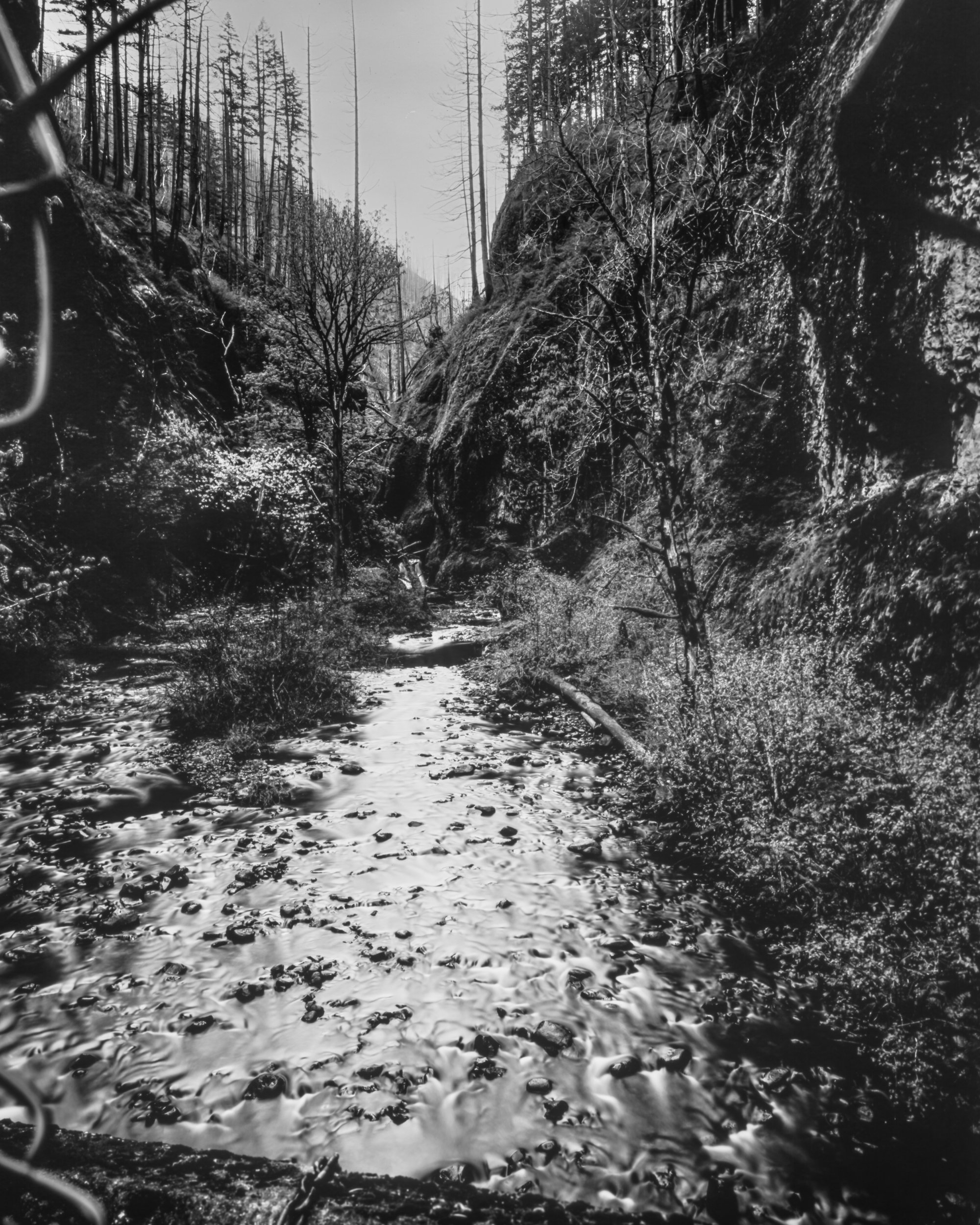 Oneonta Gorge
Oregon
Paper Negative