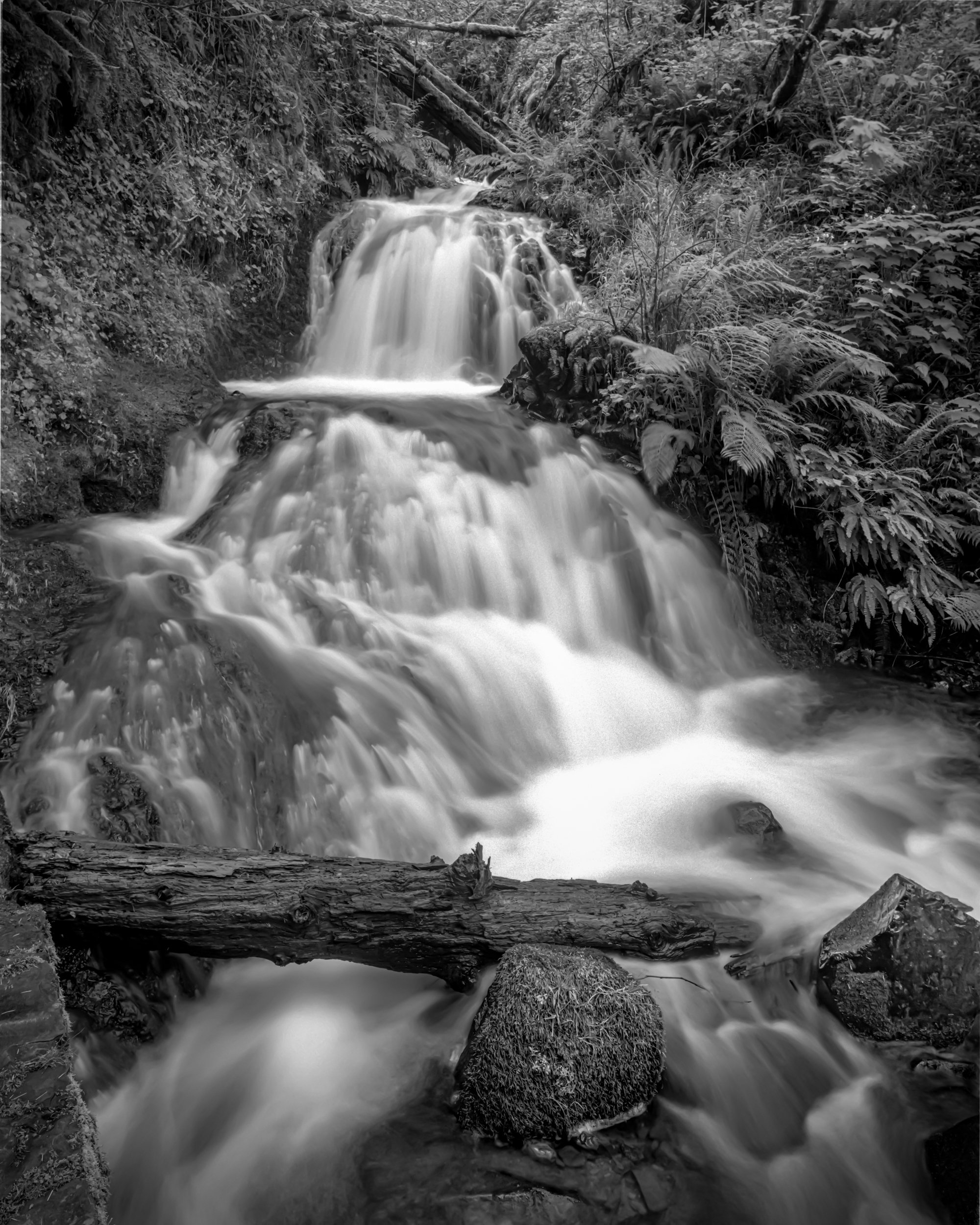 Shepperd's Dell Falls
Oregon
Black & White Film