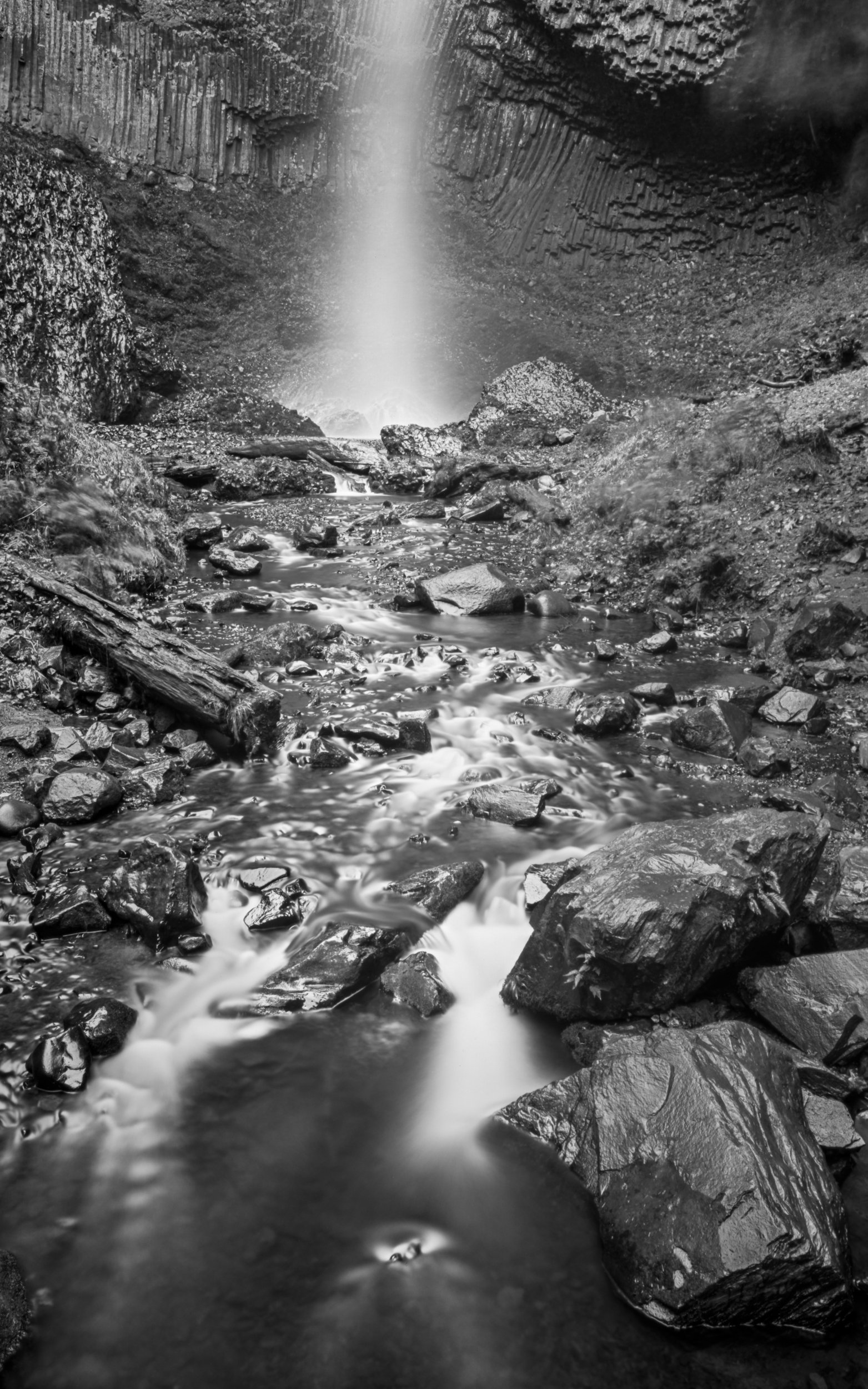 45F2 231021-latourell_falls_or_pn_02.jpg