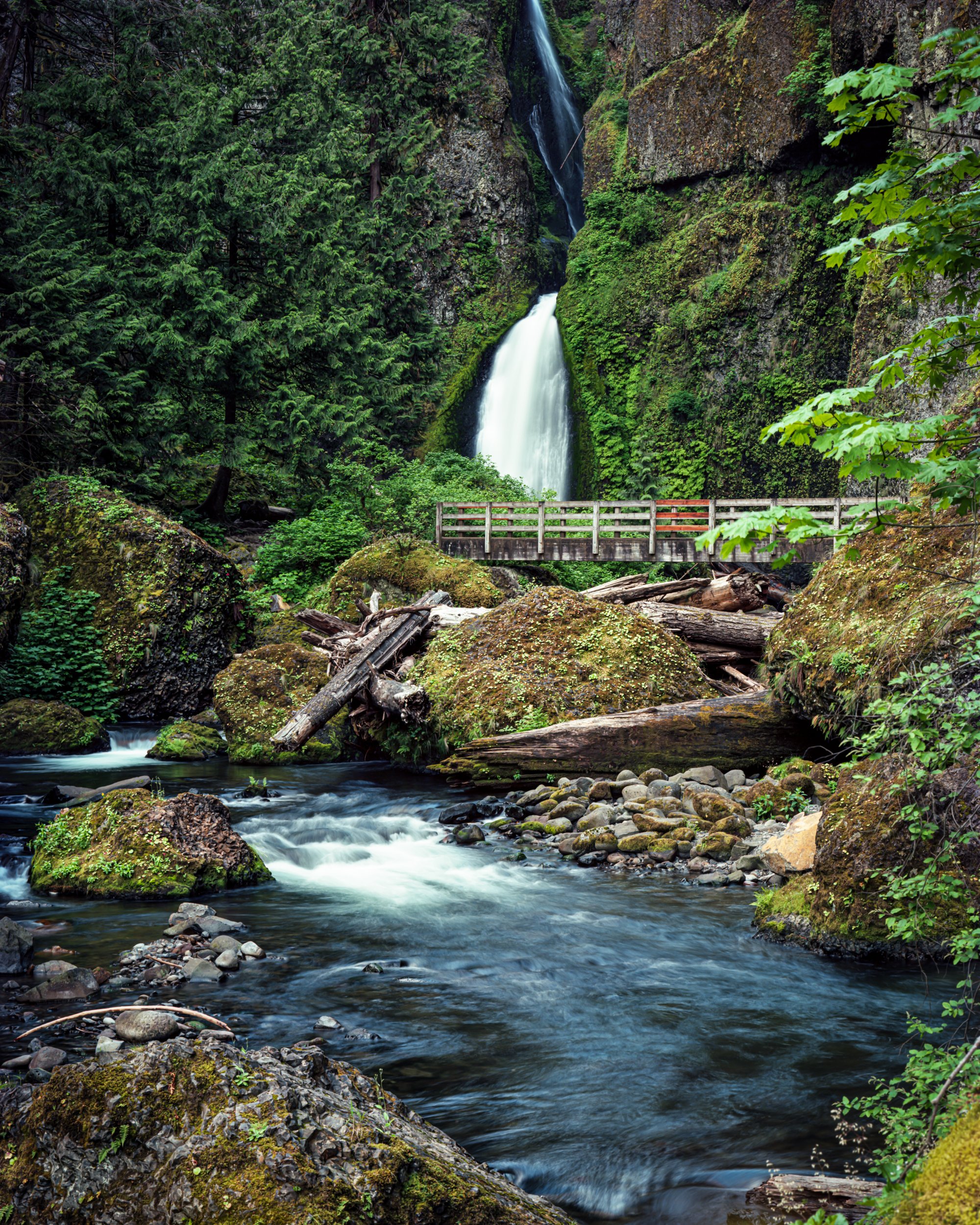 Wahclella Falls
Oregon
Color Film
