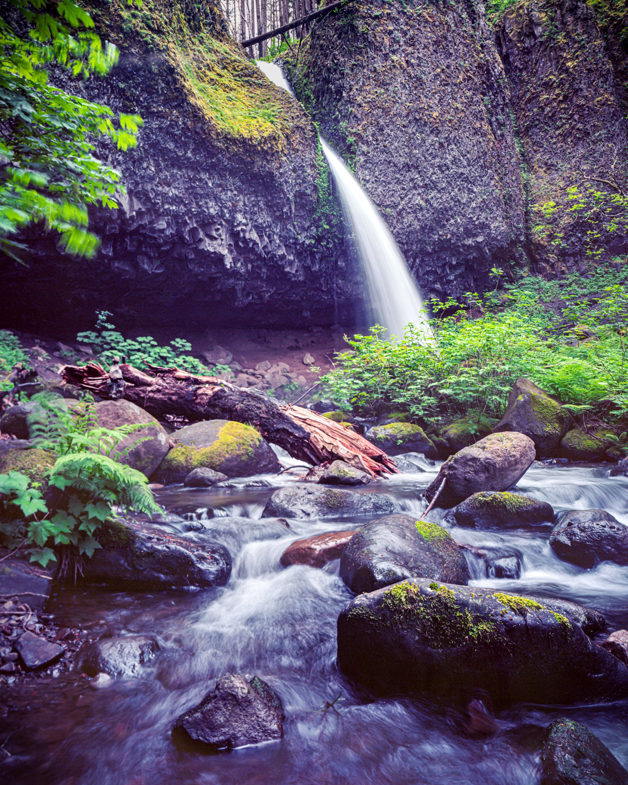 Ponytail Falls
Oregon
Color Film