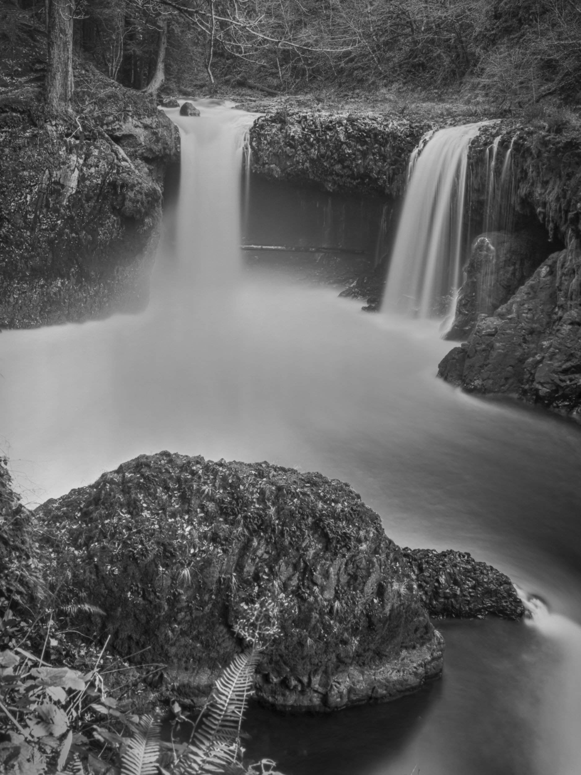 Spirit Falls
Washington
Paper Negative