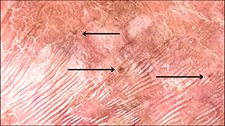 Vertically-image7.jpg