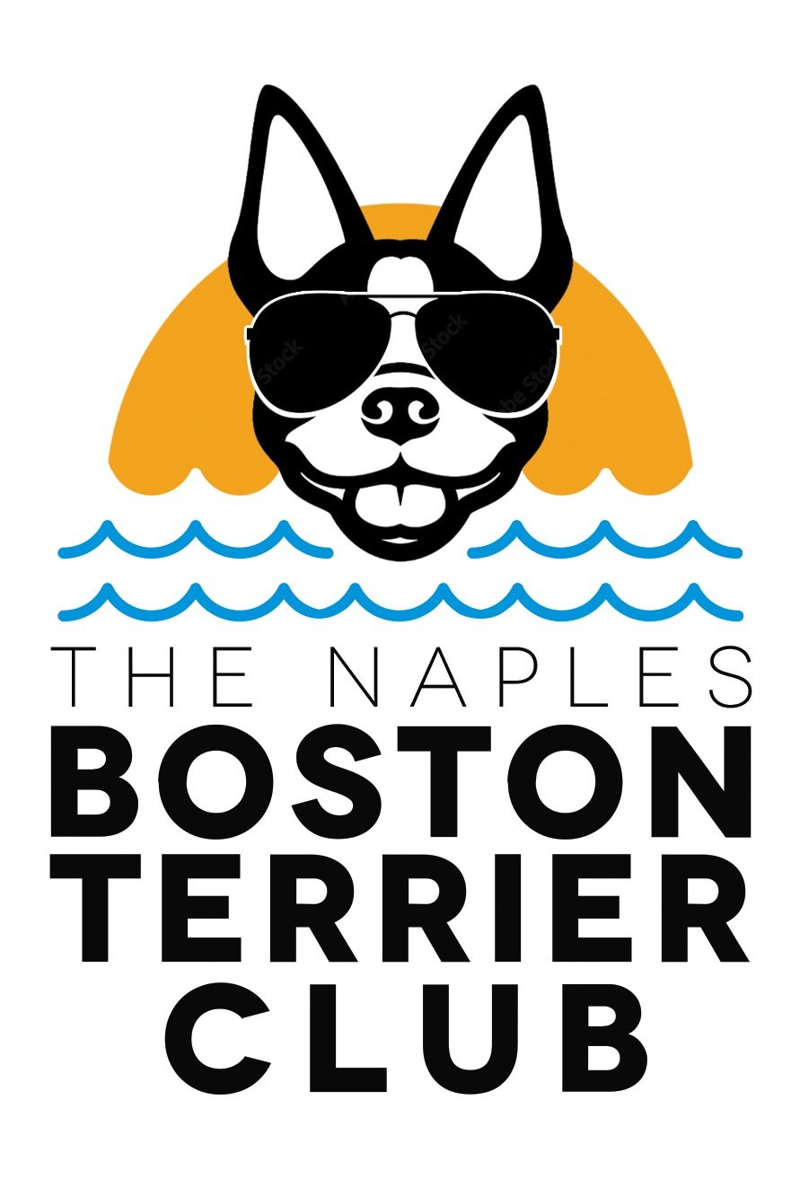The Naples Boston Terrier Club