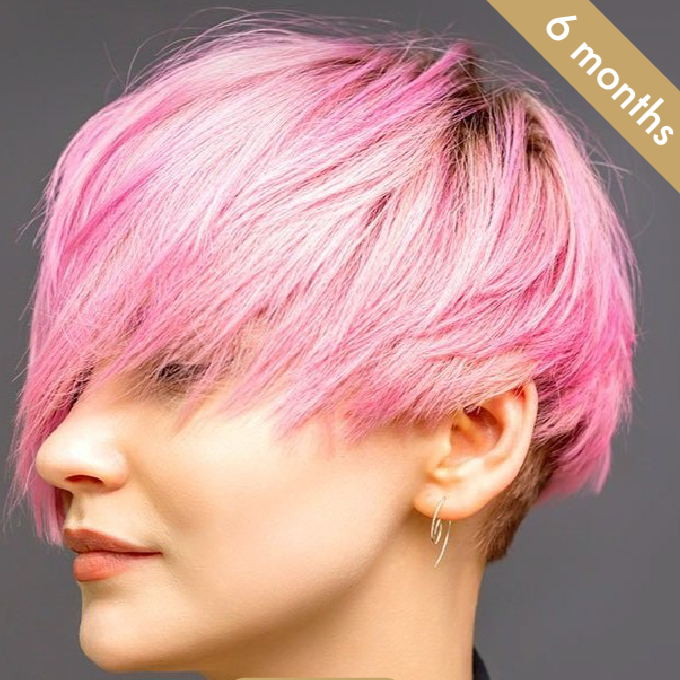Diploma in Hairdressing VTCT Skills (ITEC) Level 2