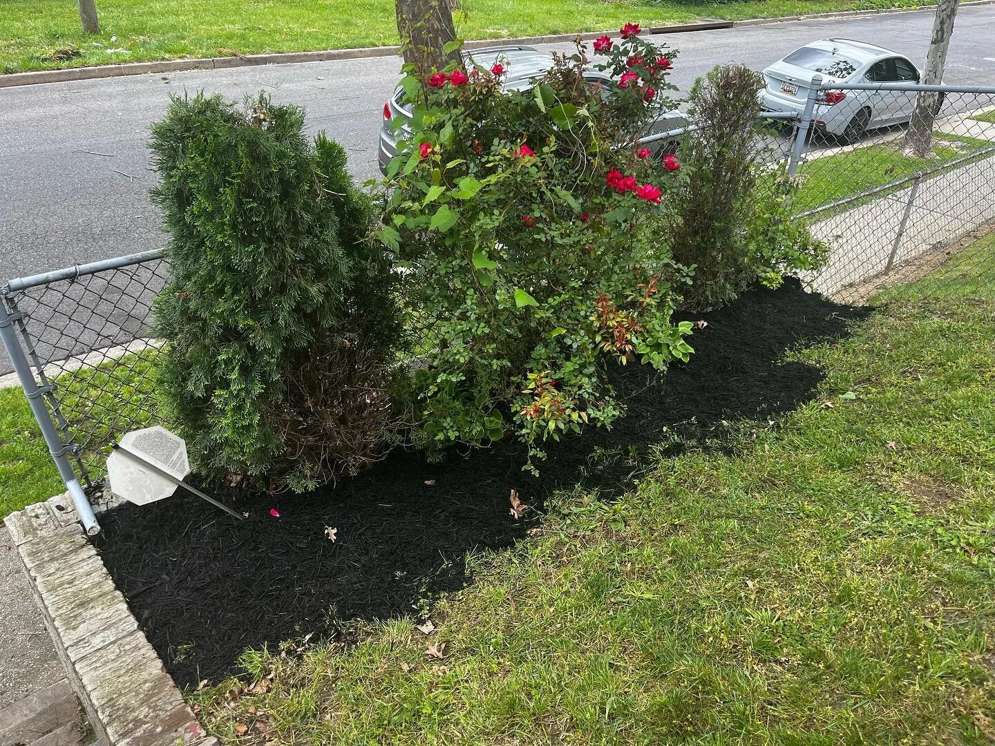 Lawn maintenance, Tap in the summer is around the corner. We&rsquo;re here to bring beauty nd comfort to your home