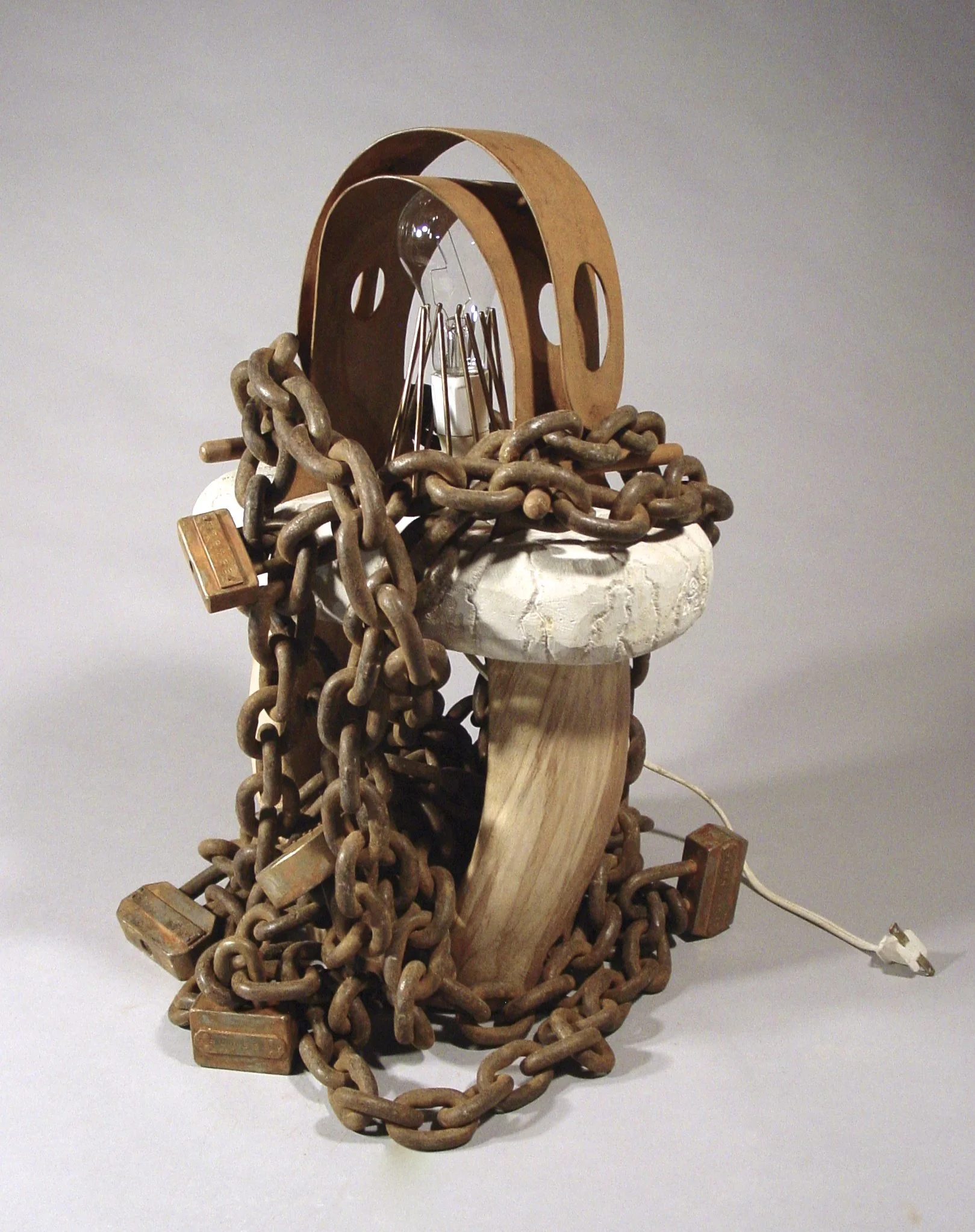 Domestication, 2012,
steel