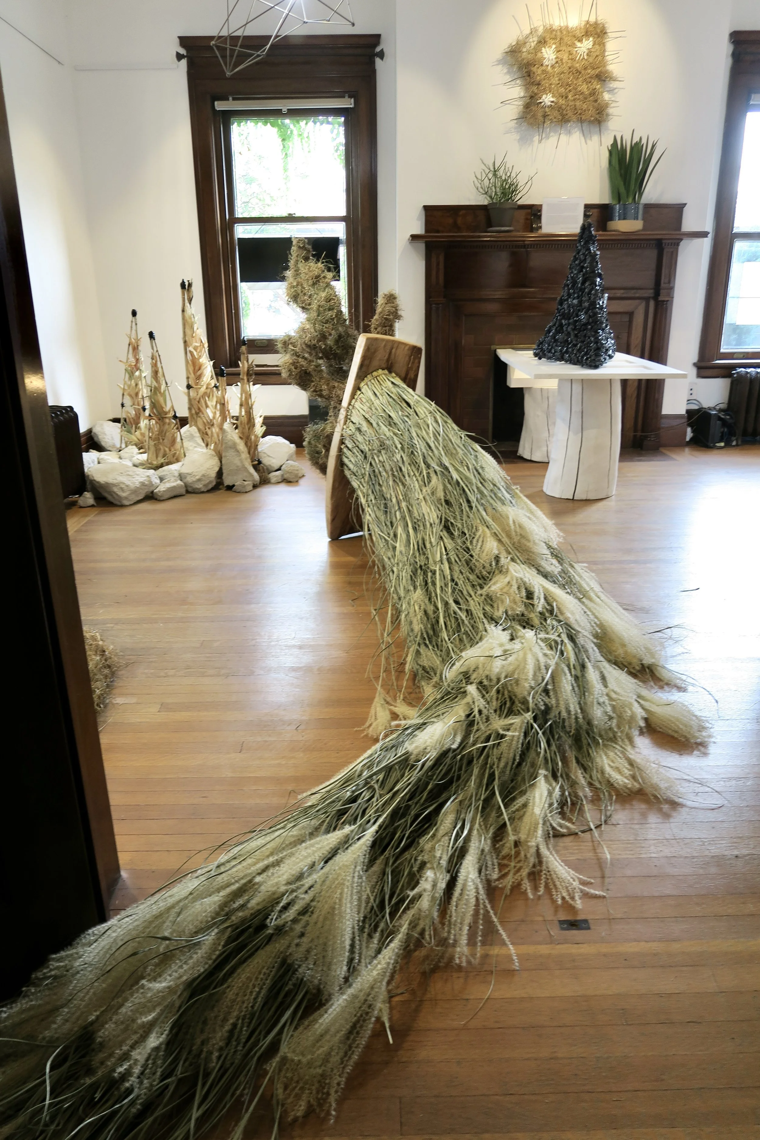 Gallery entrance led by grass tail of Oracle. This exhibition incorporated plant fiber as an artist medium.