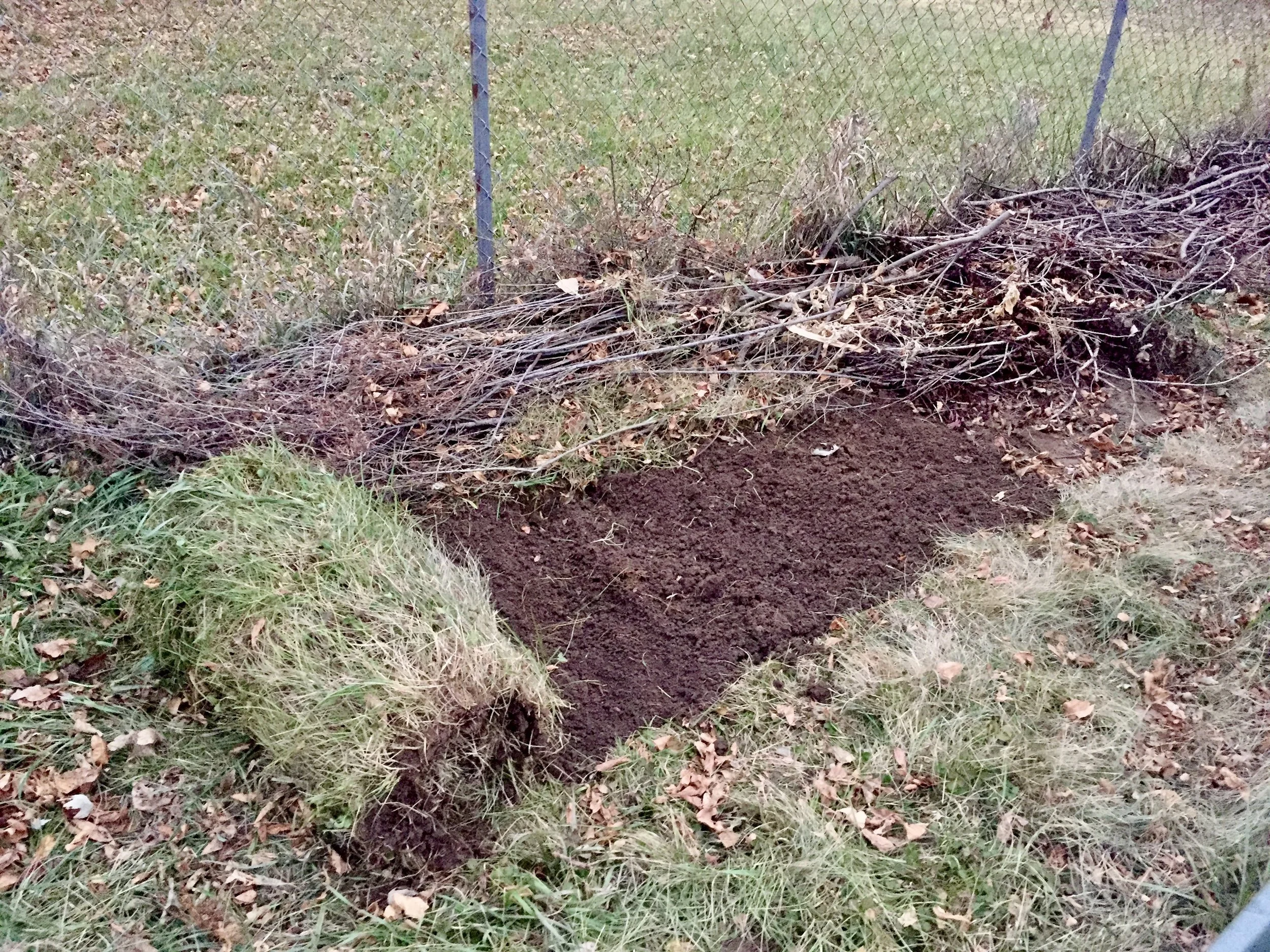 Removing the sod served two purposes; one for using as an art medium, the other for a garden plot.
