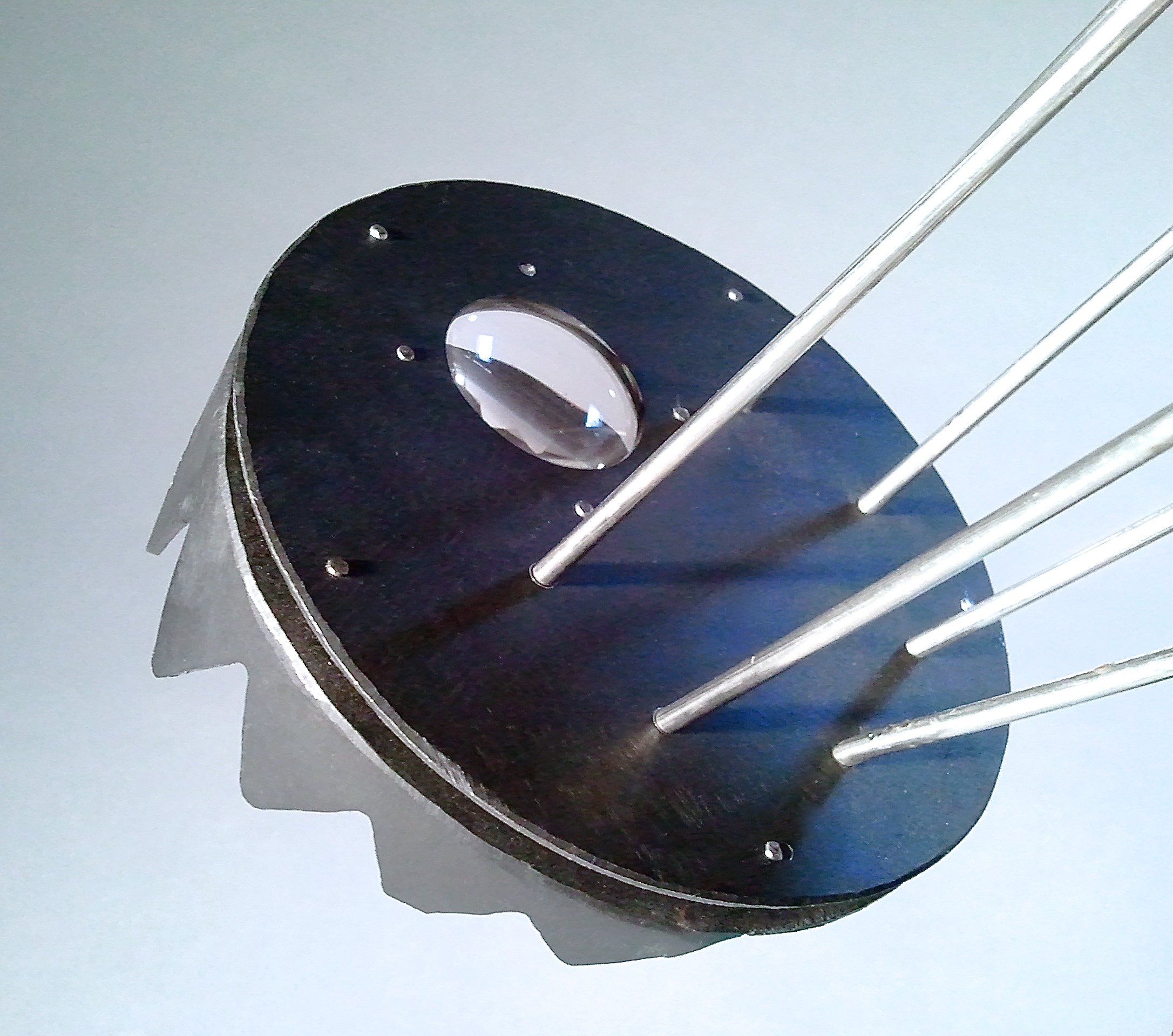 Patri-Dish (detail), 2012,