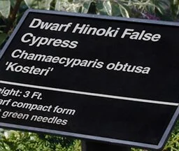 Engraved Directional/Informational Signs
