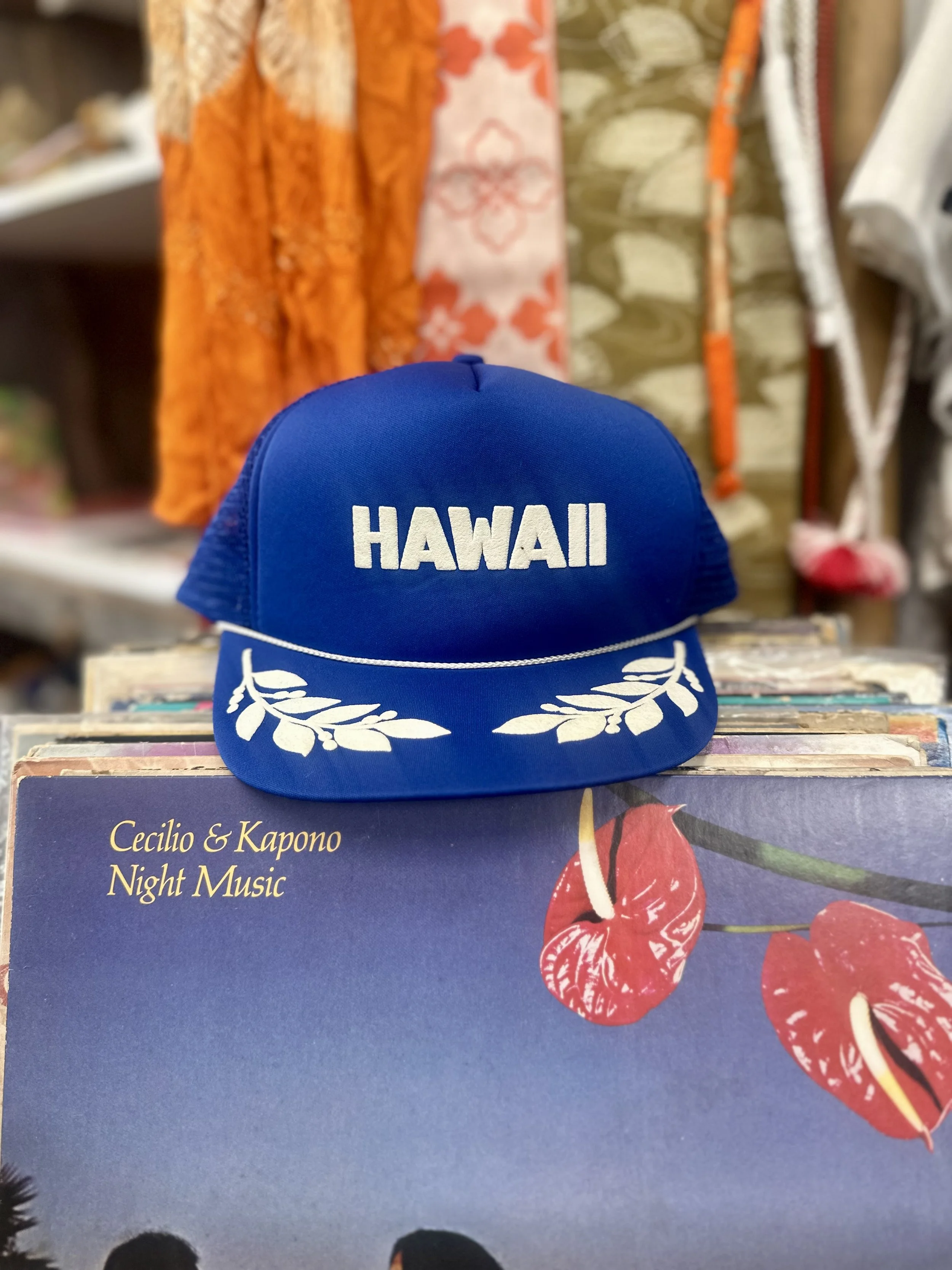 Vintage Hawaii trucker hat