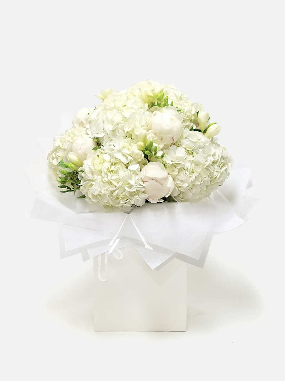 Screenshot 2025-08-21 at 7.41.20 pm.png