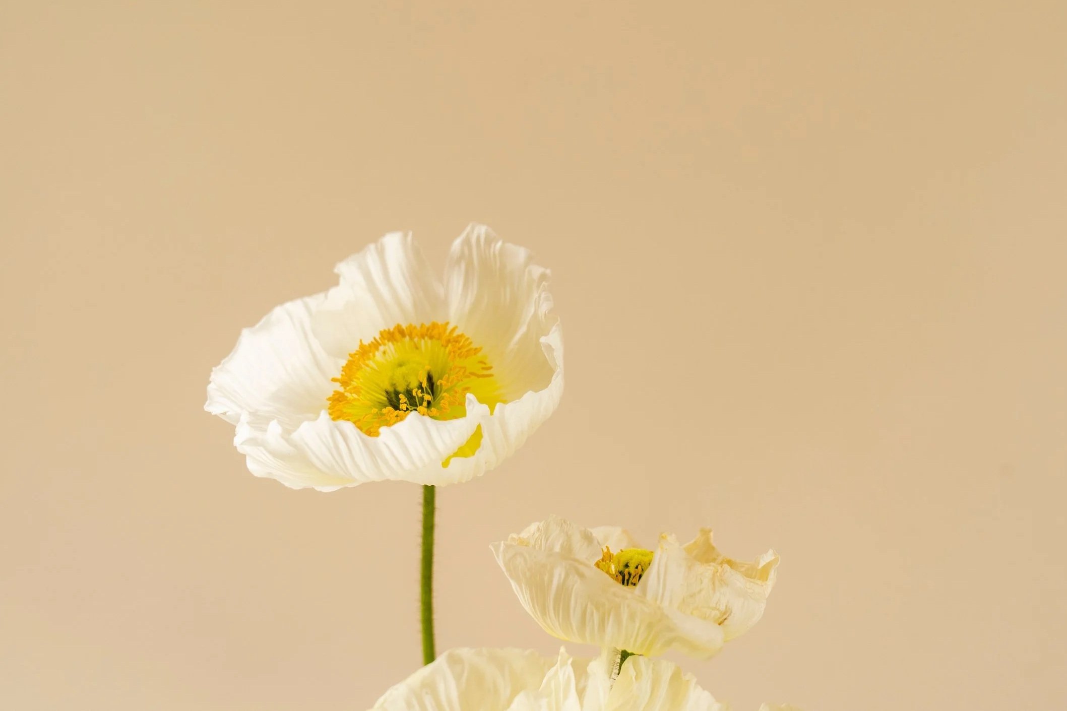 Recognising Depression: Signs, Symptoms, and Support in Perth