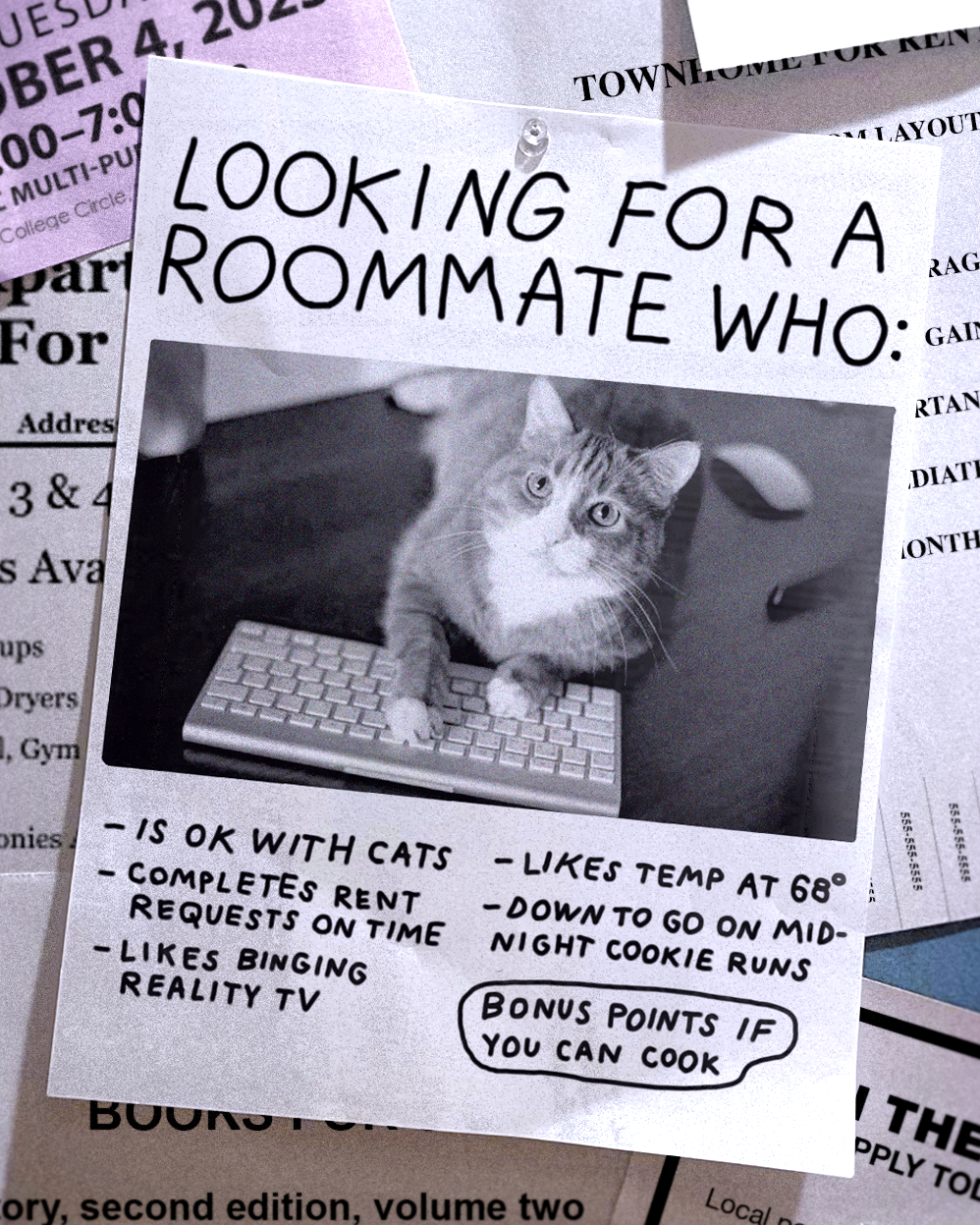 We can coexist or co-parent a new cat. Your call.